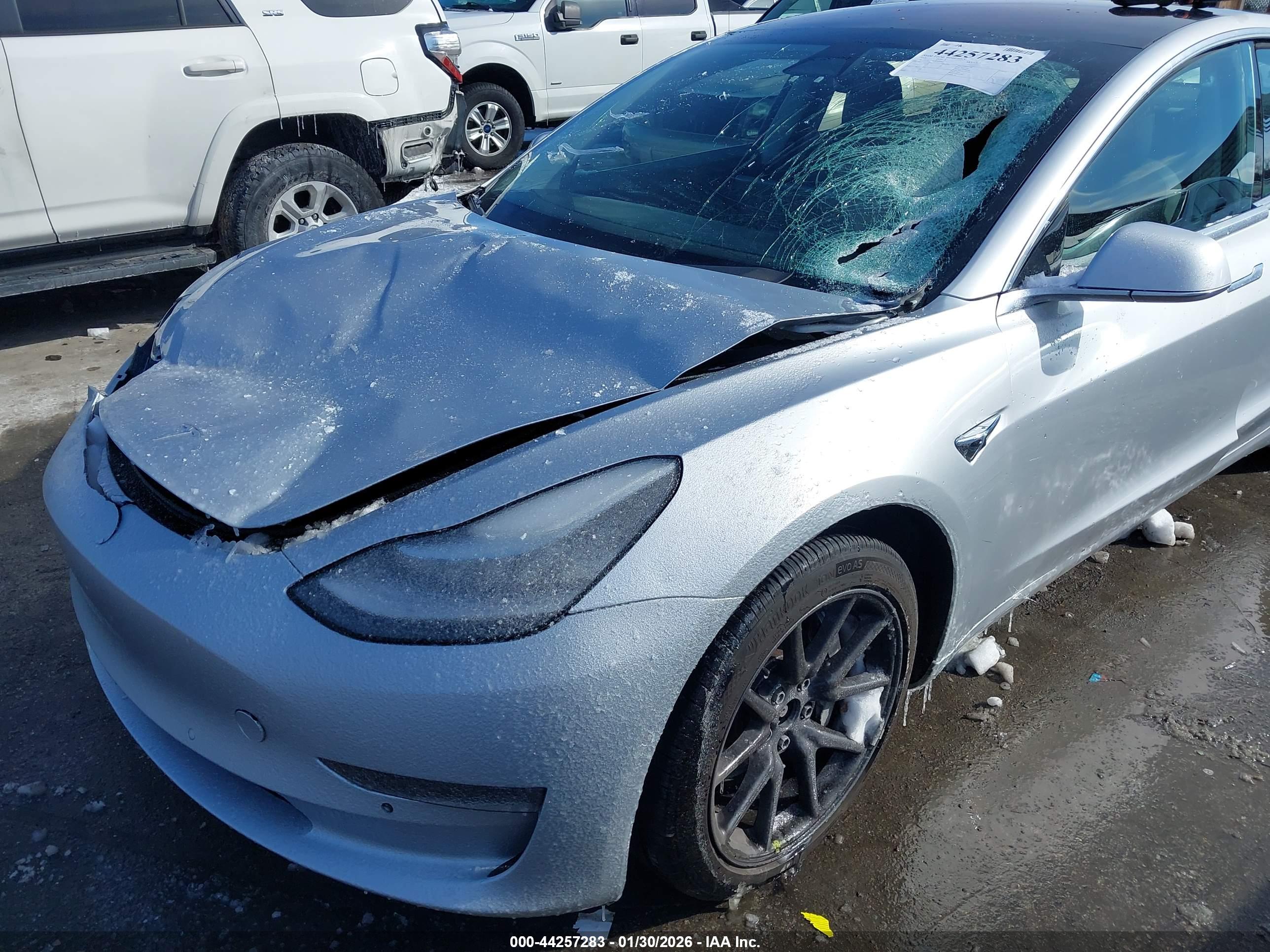 TESLA MODEL image 6