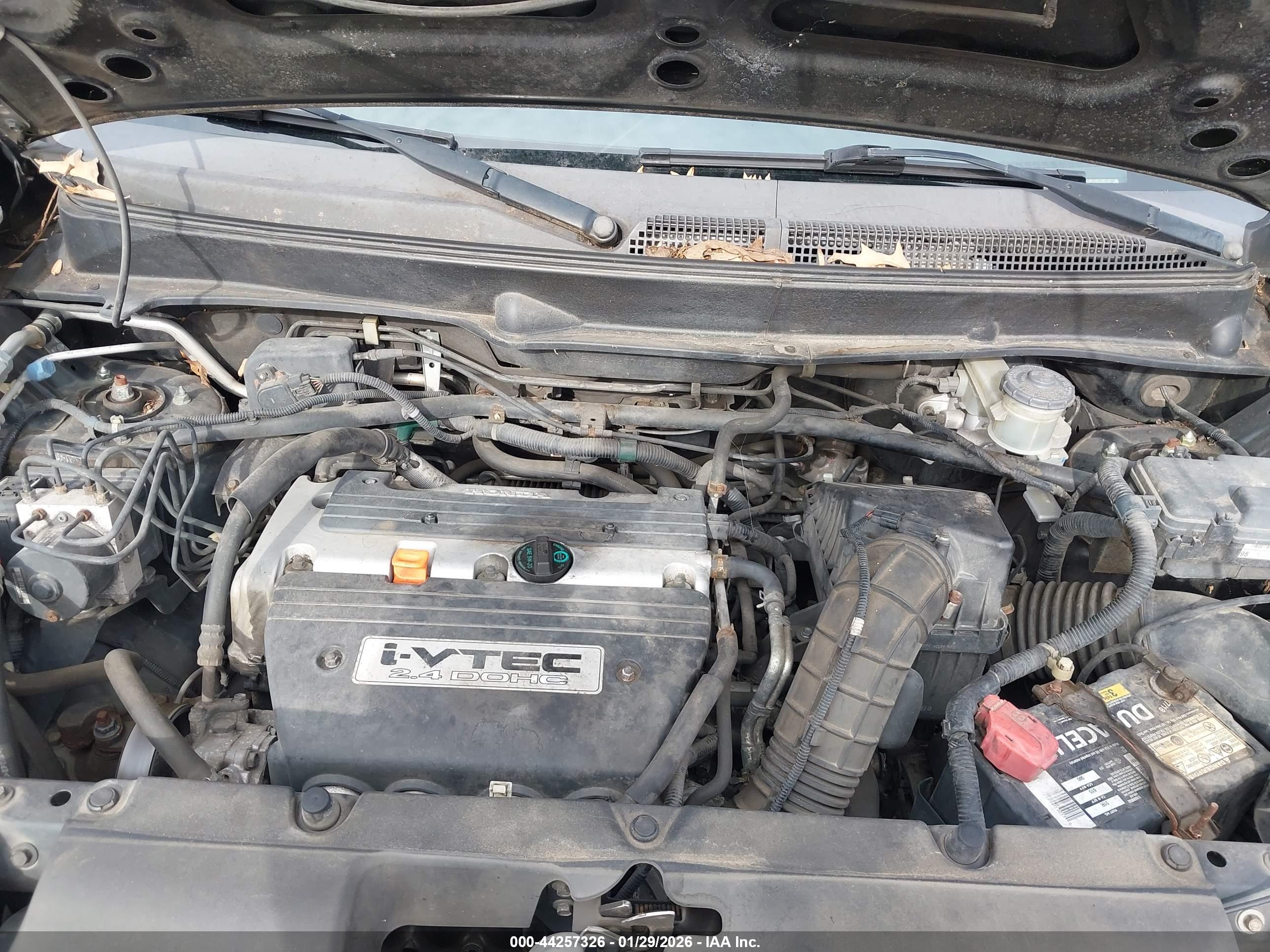 HONDA ELEMENT image 10