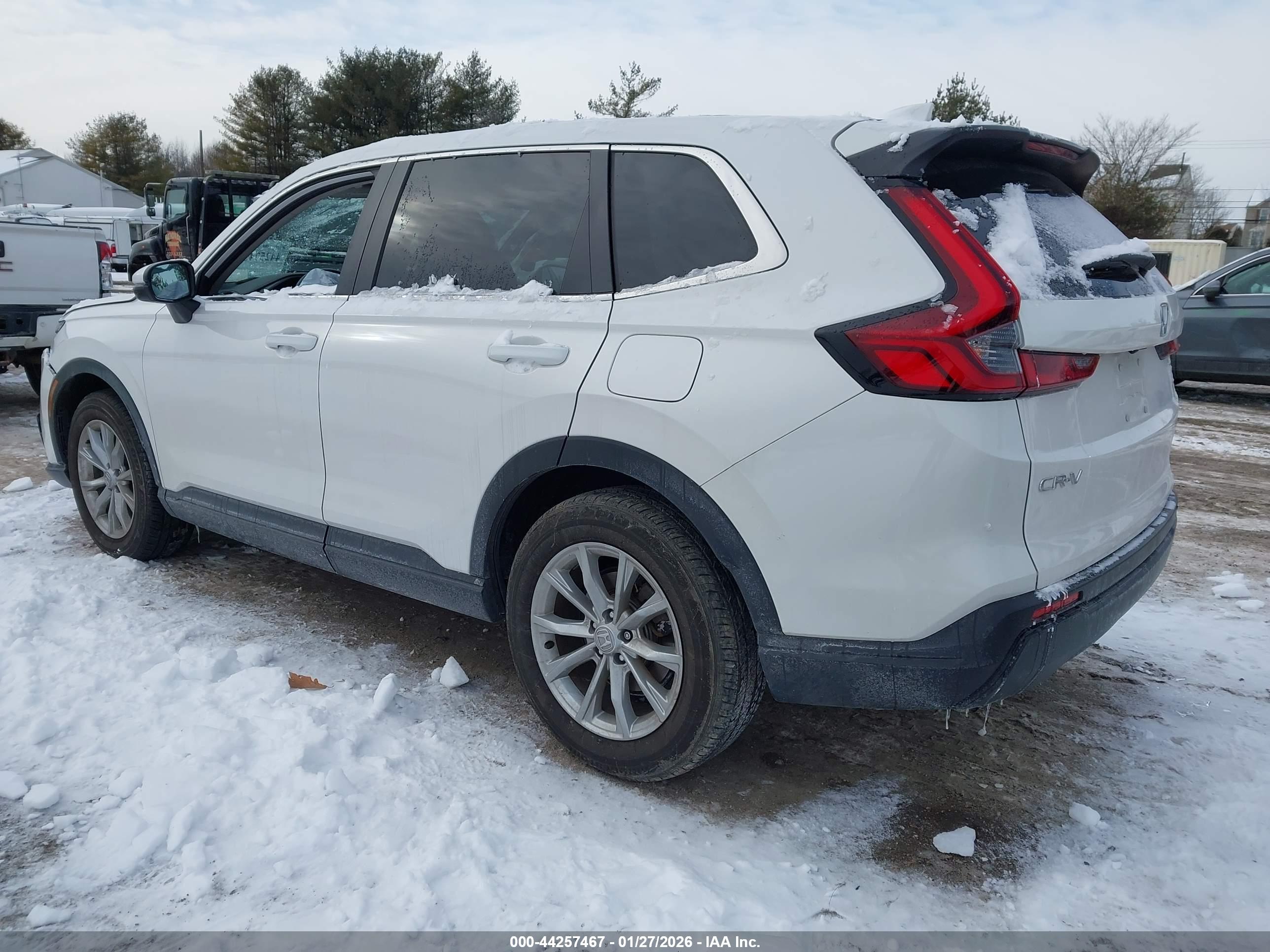 HONDA CR-V image 3