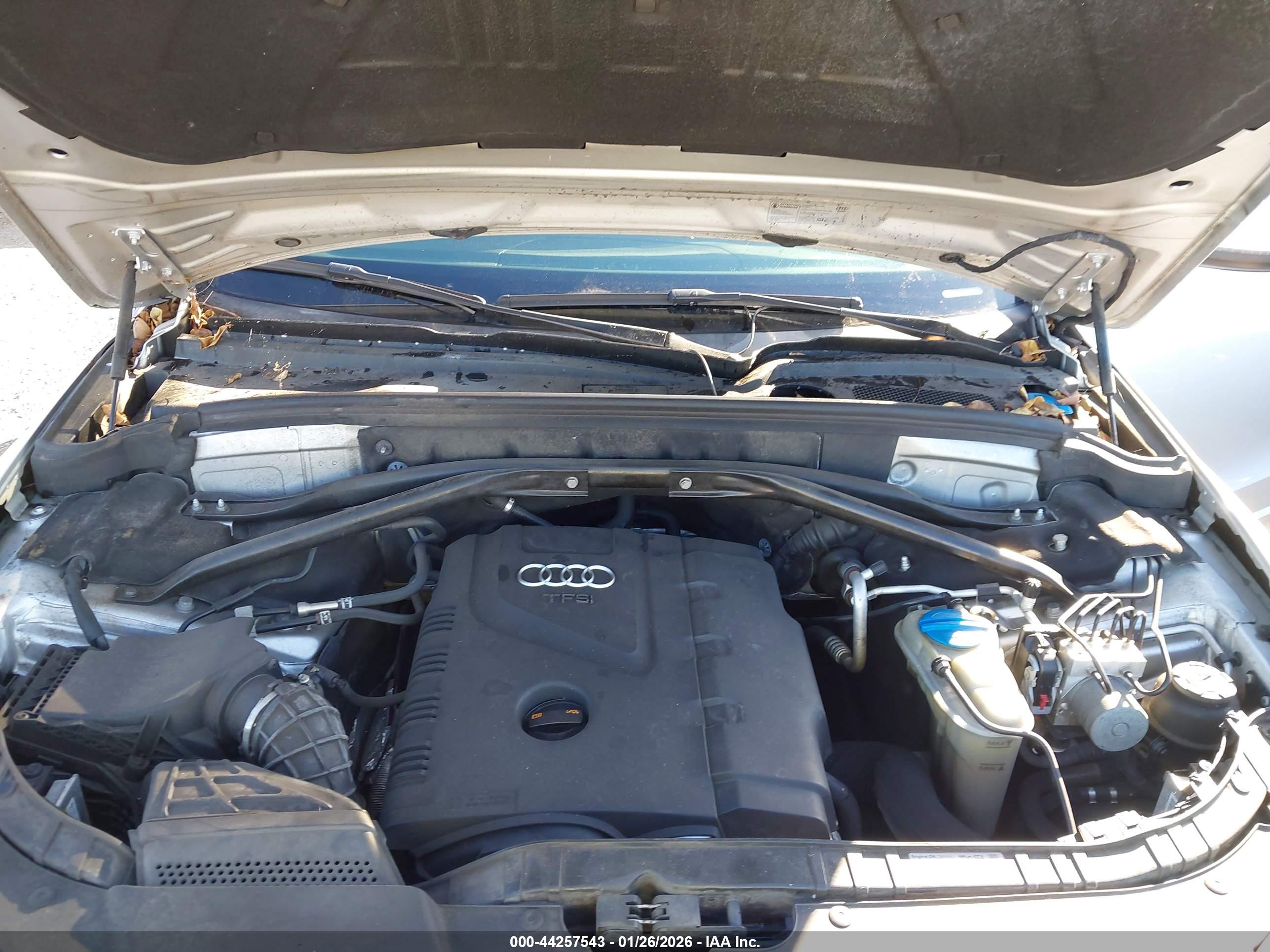 AUDI Q5 image 10