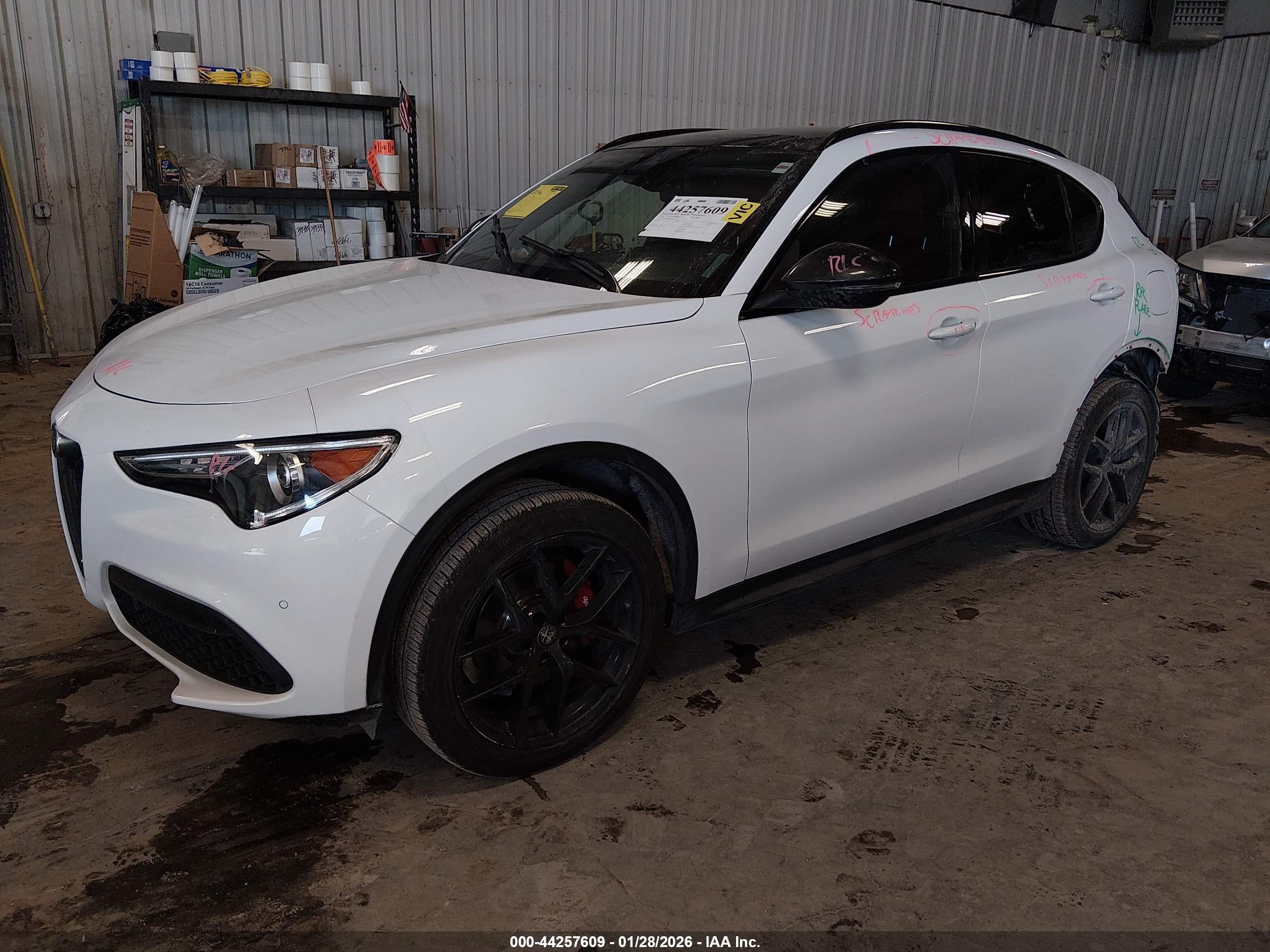 ALFA ROMEO image 2