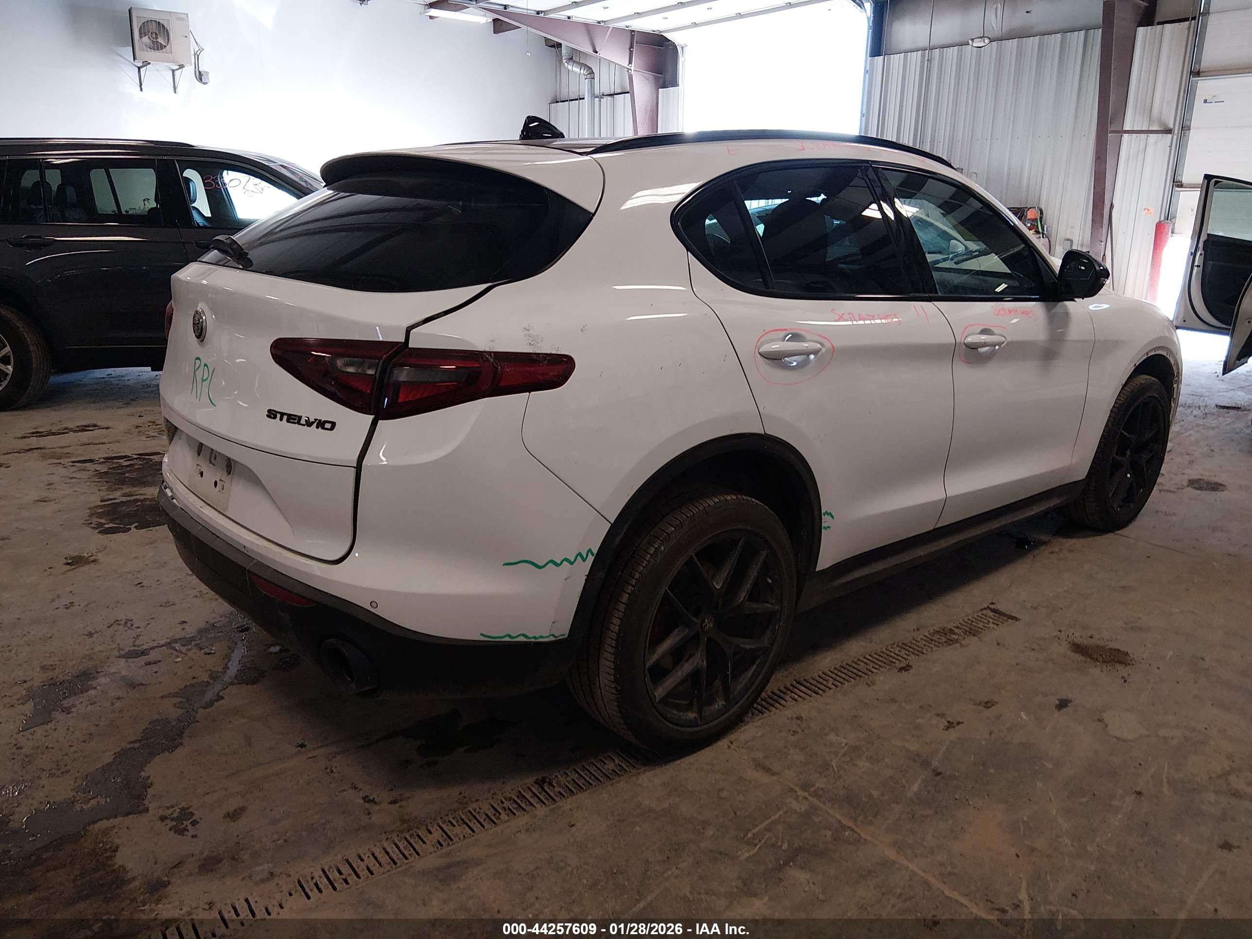 ALFA ROMEO image 4