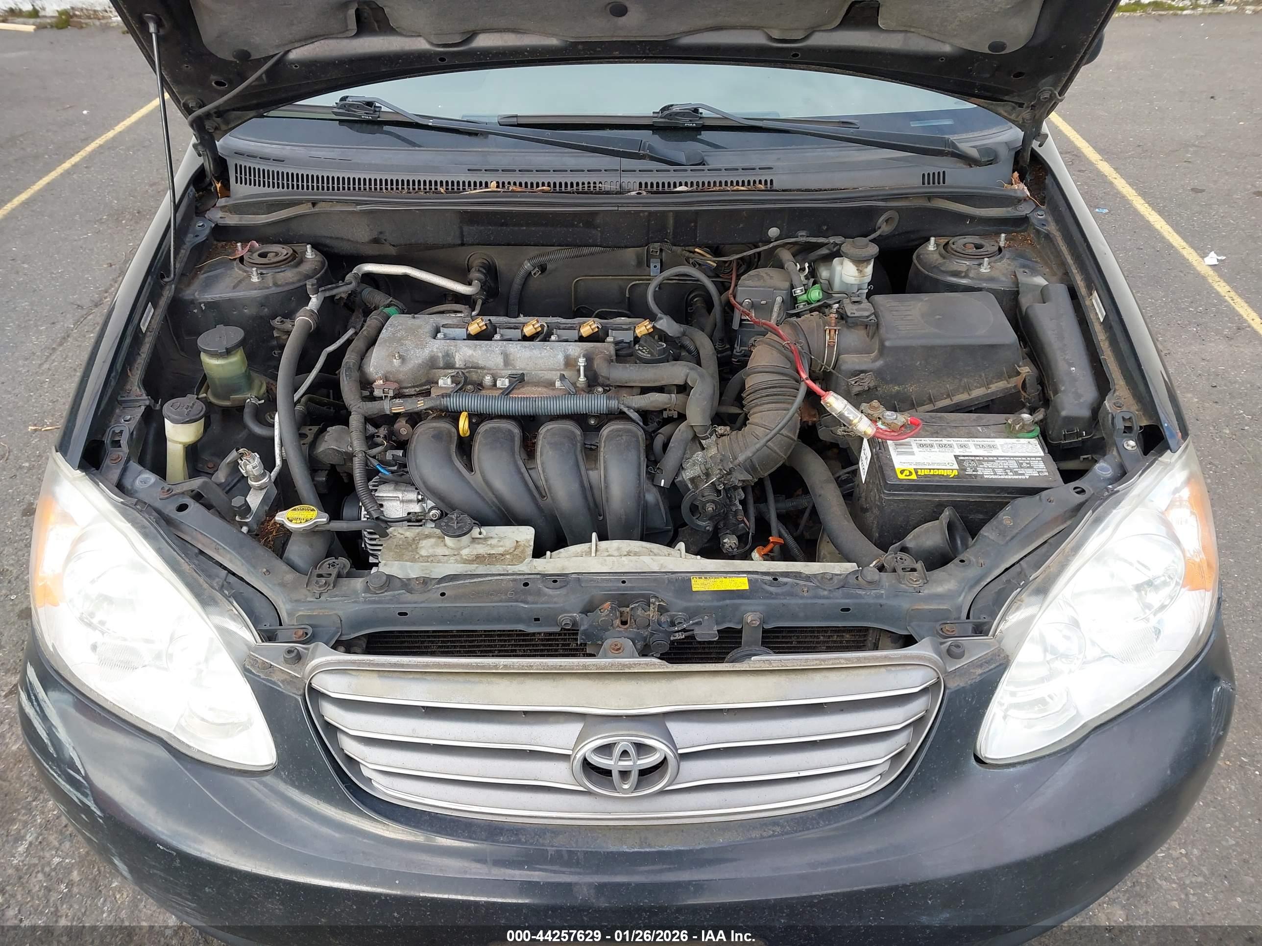 TOYOTA COROLLA image 10