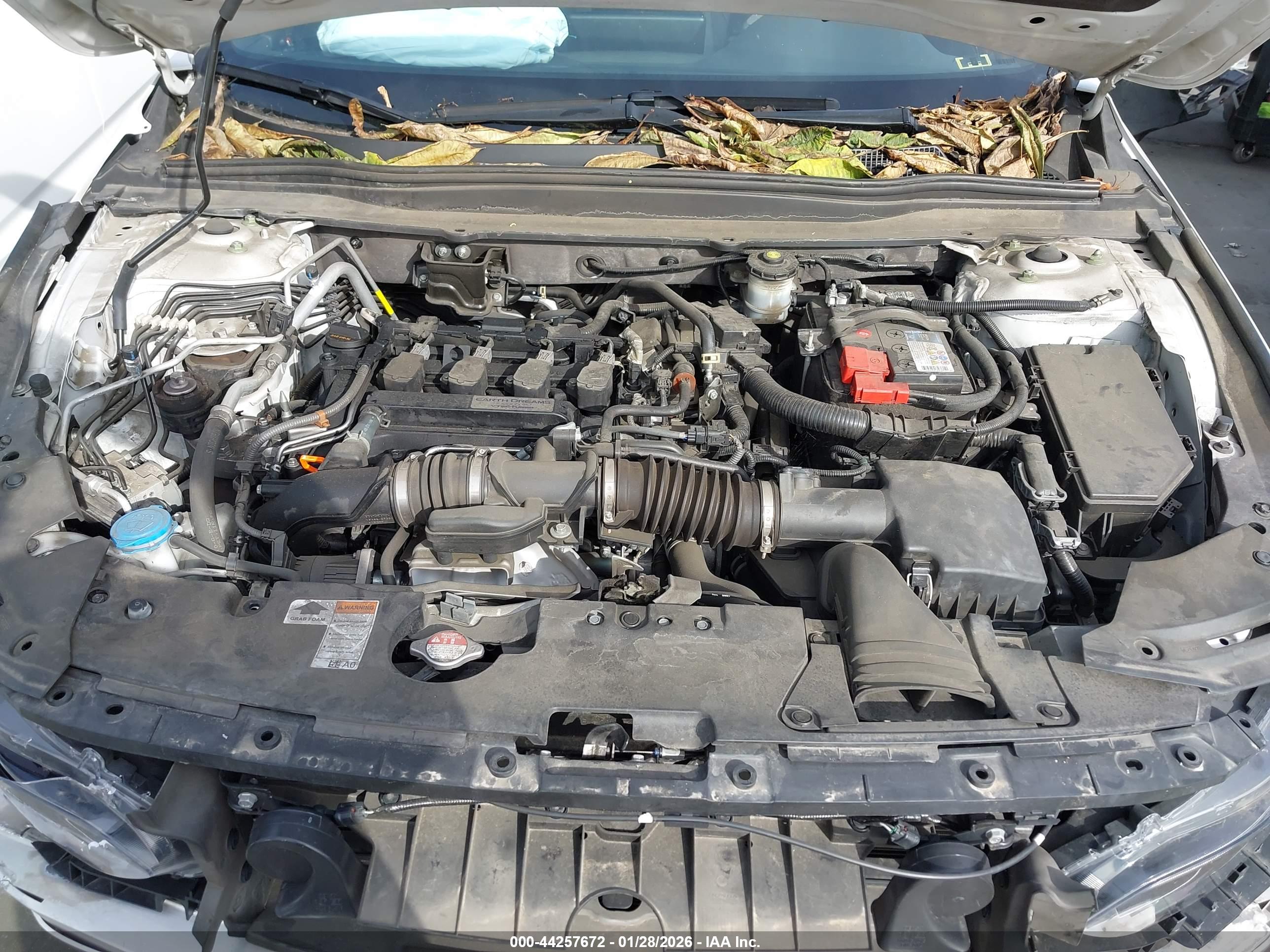 HONDA ACCORD image 10