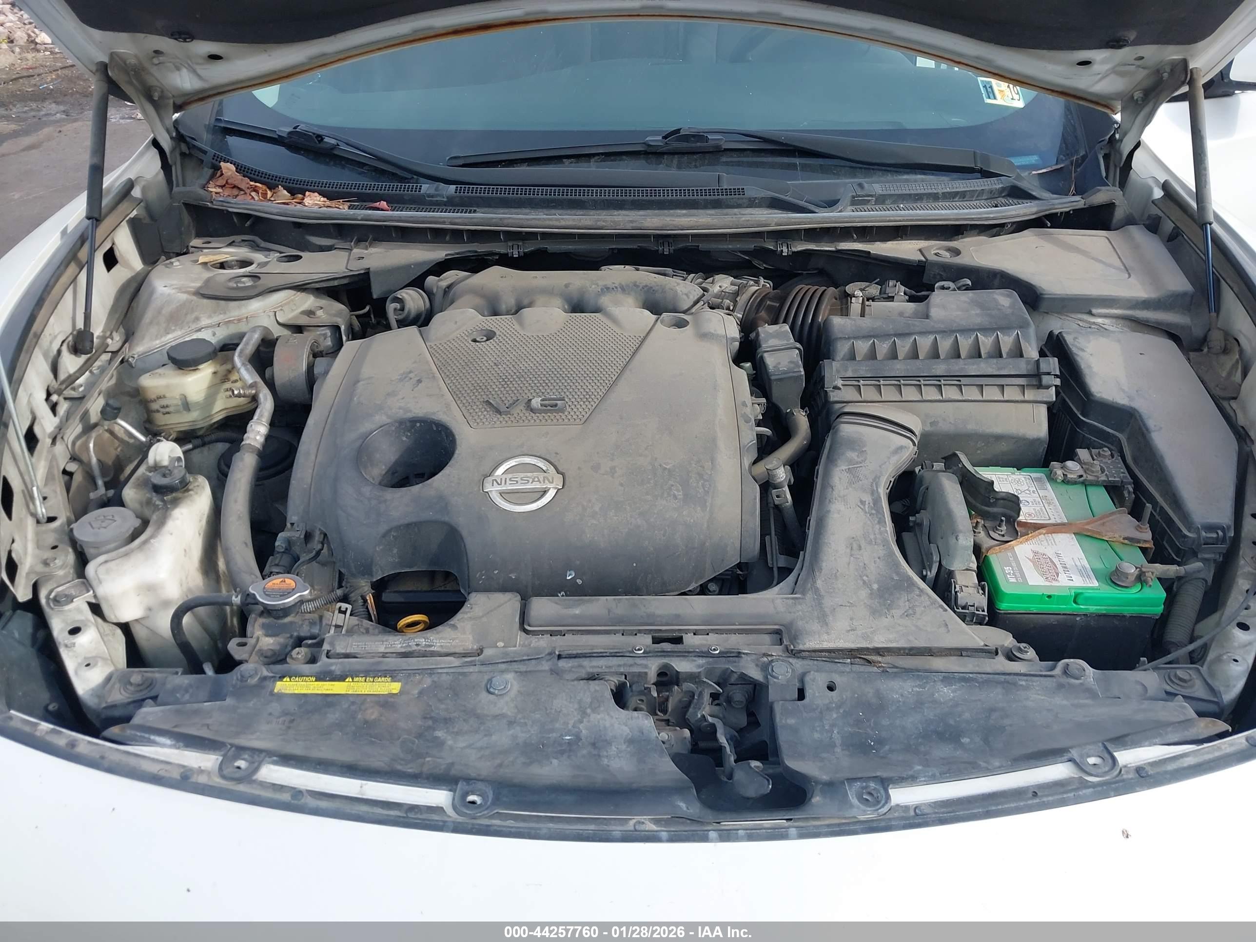 NISSAN MAXIMA image 10