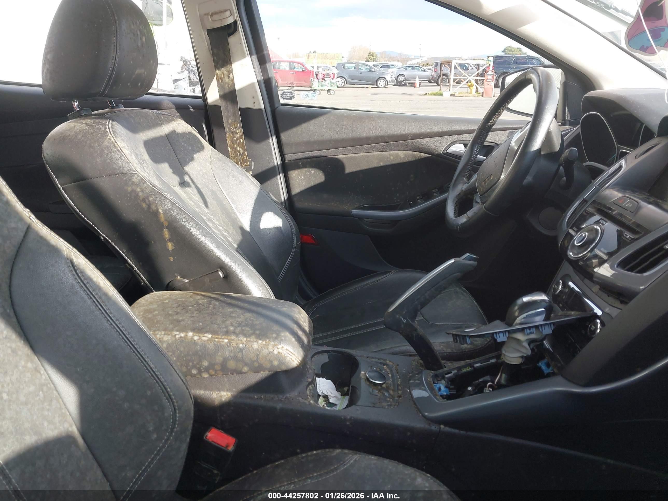 FORD FOCUS image 5