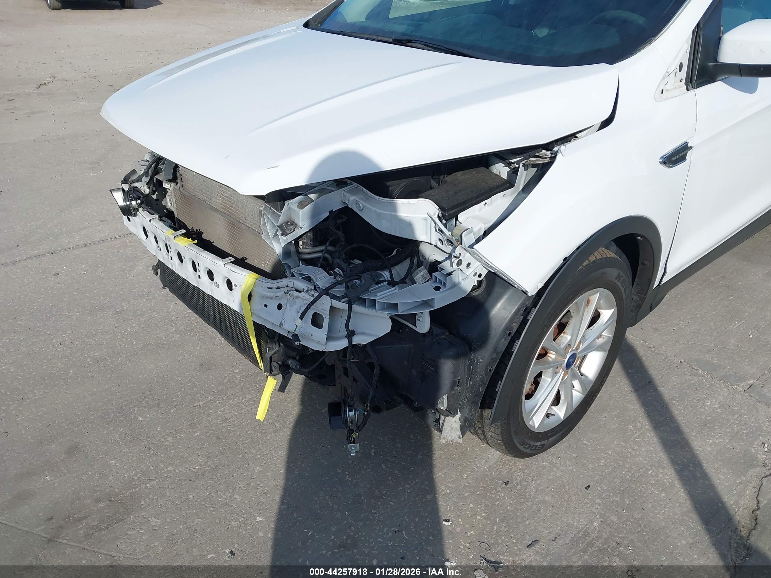 FORD ESCAPE image 6
