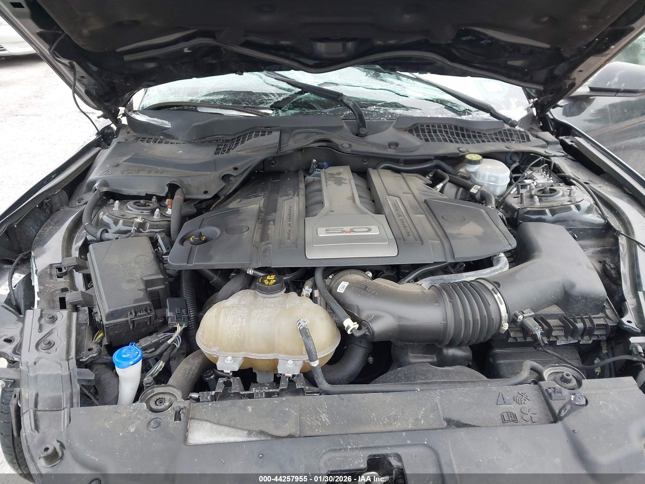 FORD MUSTANG image 10
