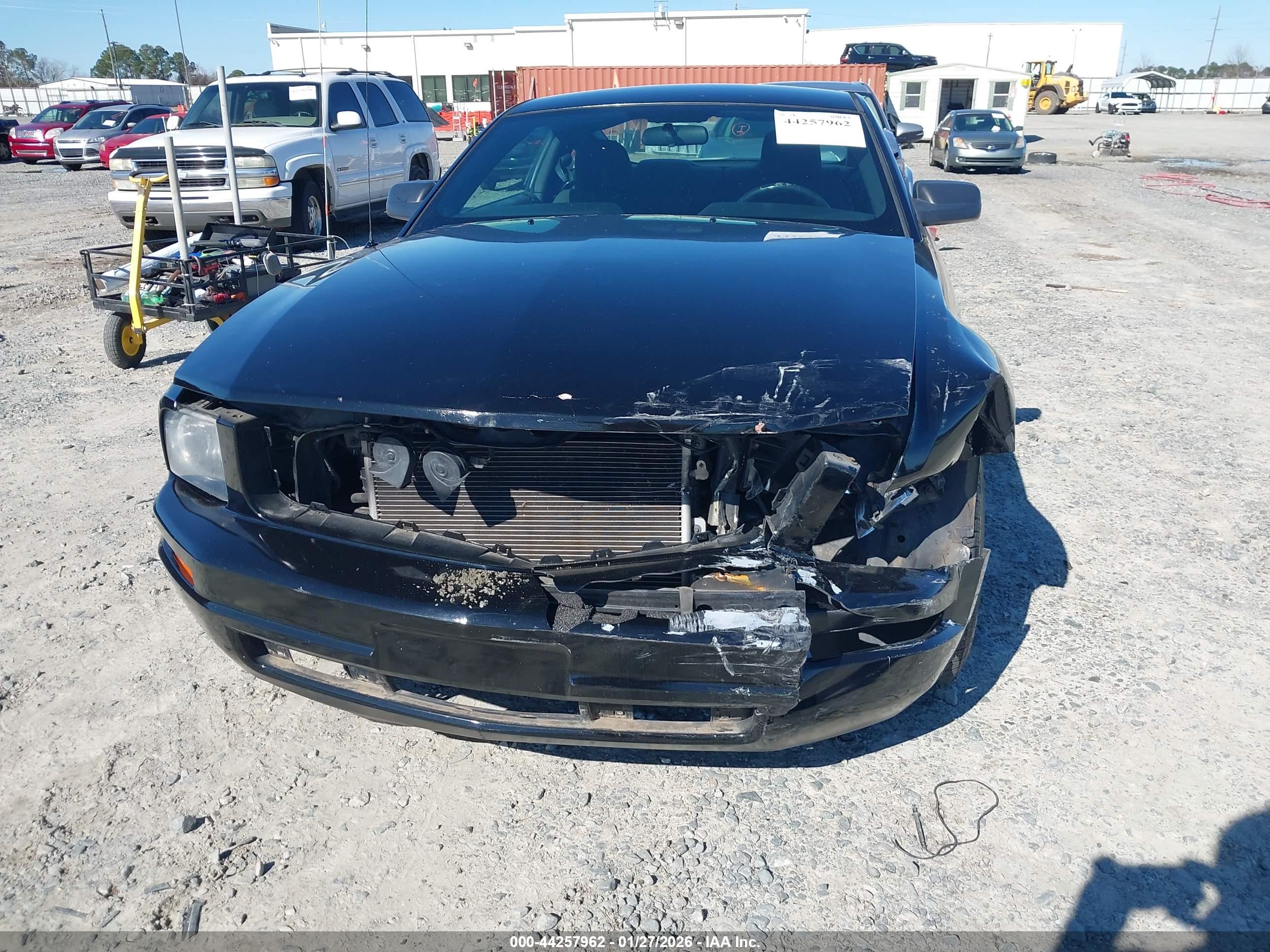 FORD MUSTANG image 6