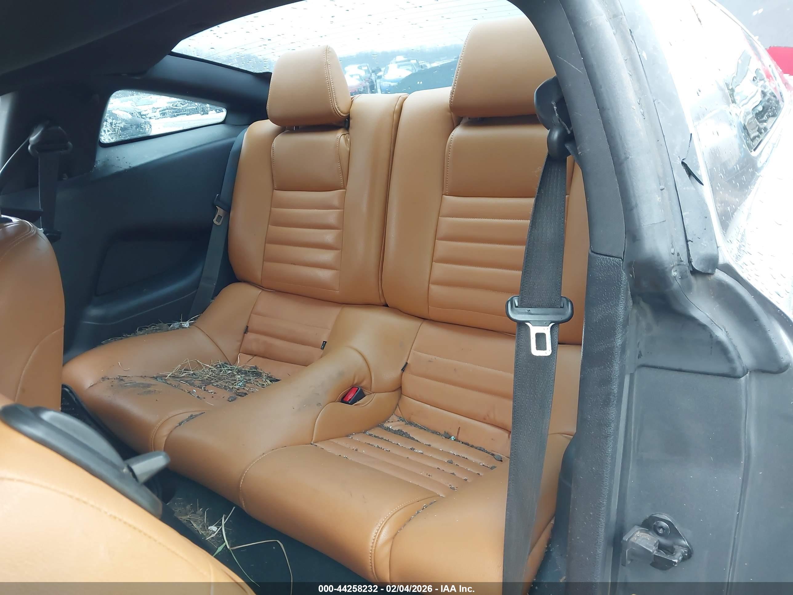 FORD MUSTANG image 8