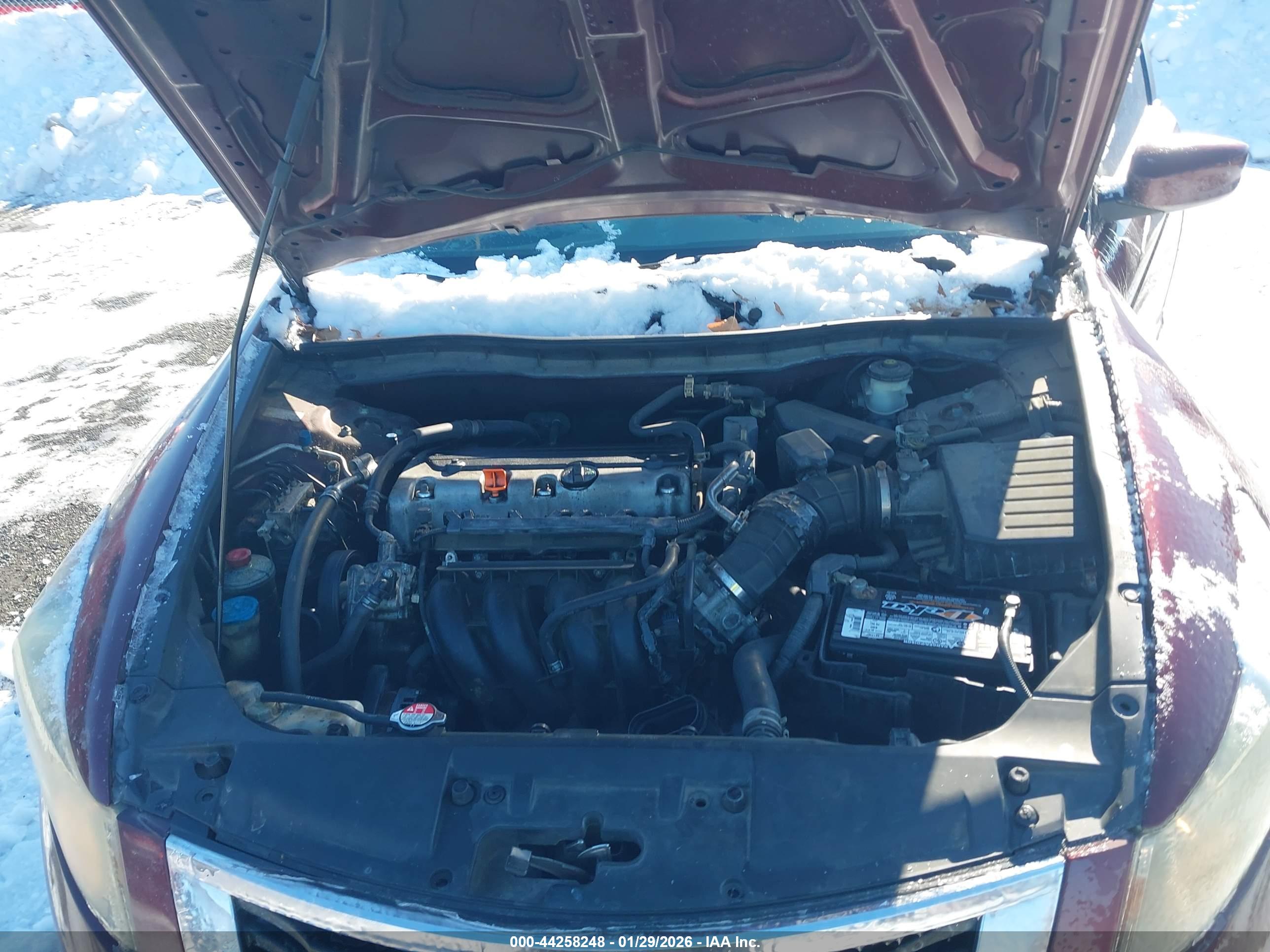 HONDA ACCORD image 10