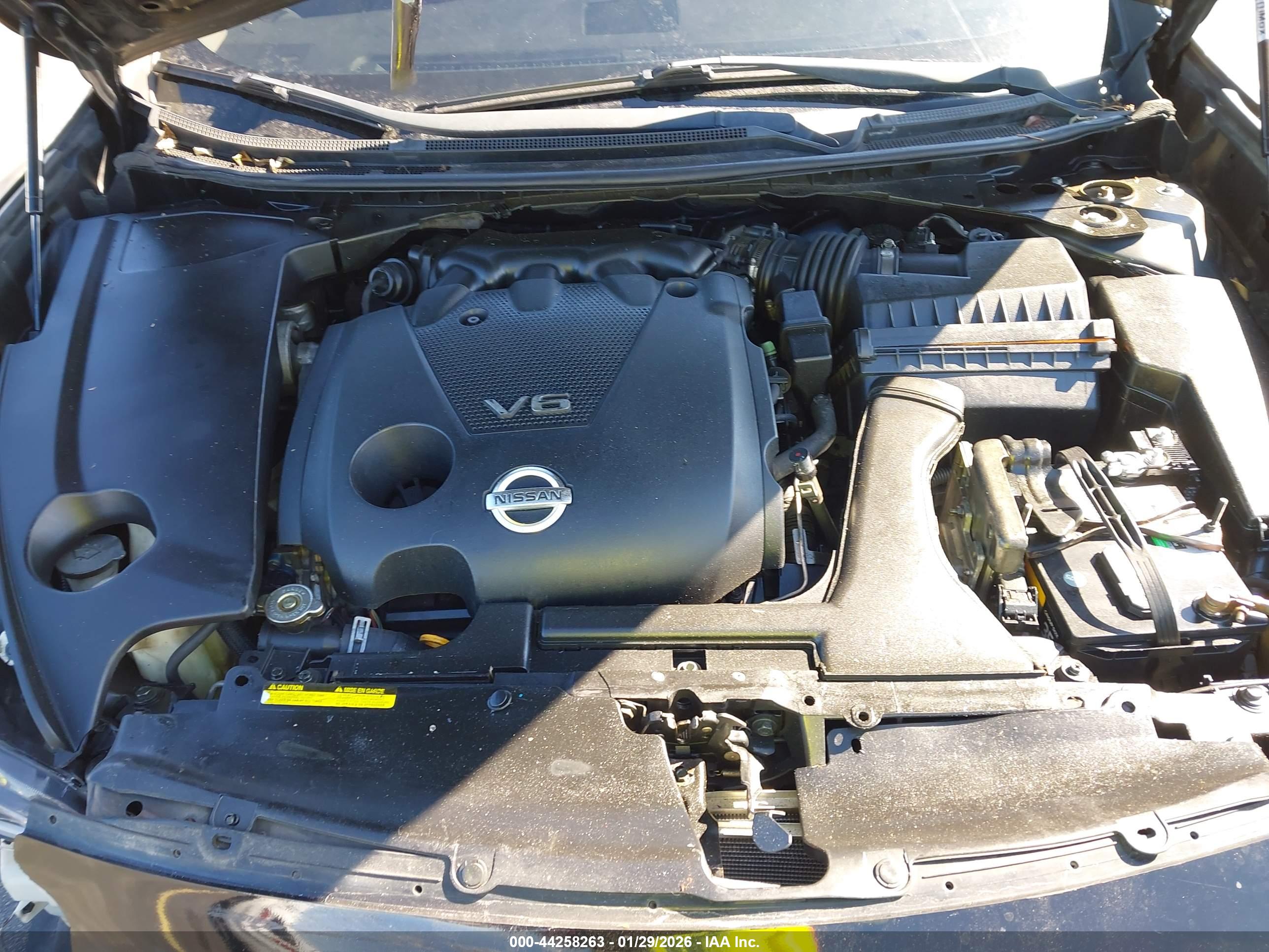 NISSAN MAXIMA image 10