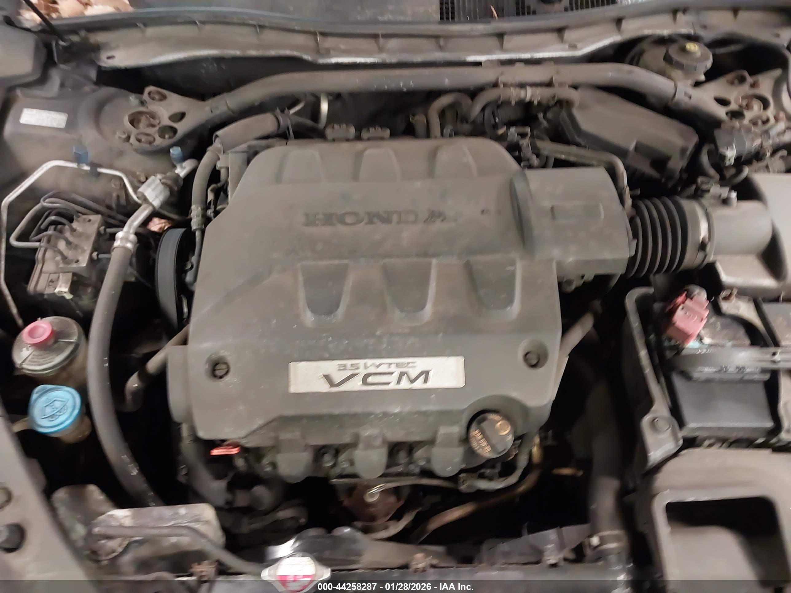 HONDA ACCORD image 10