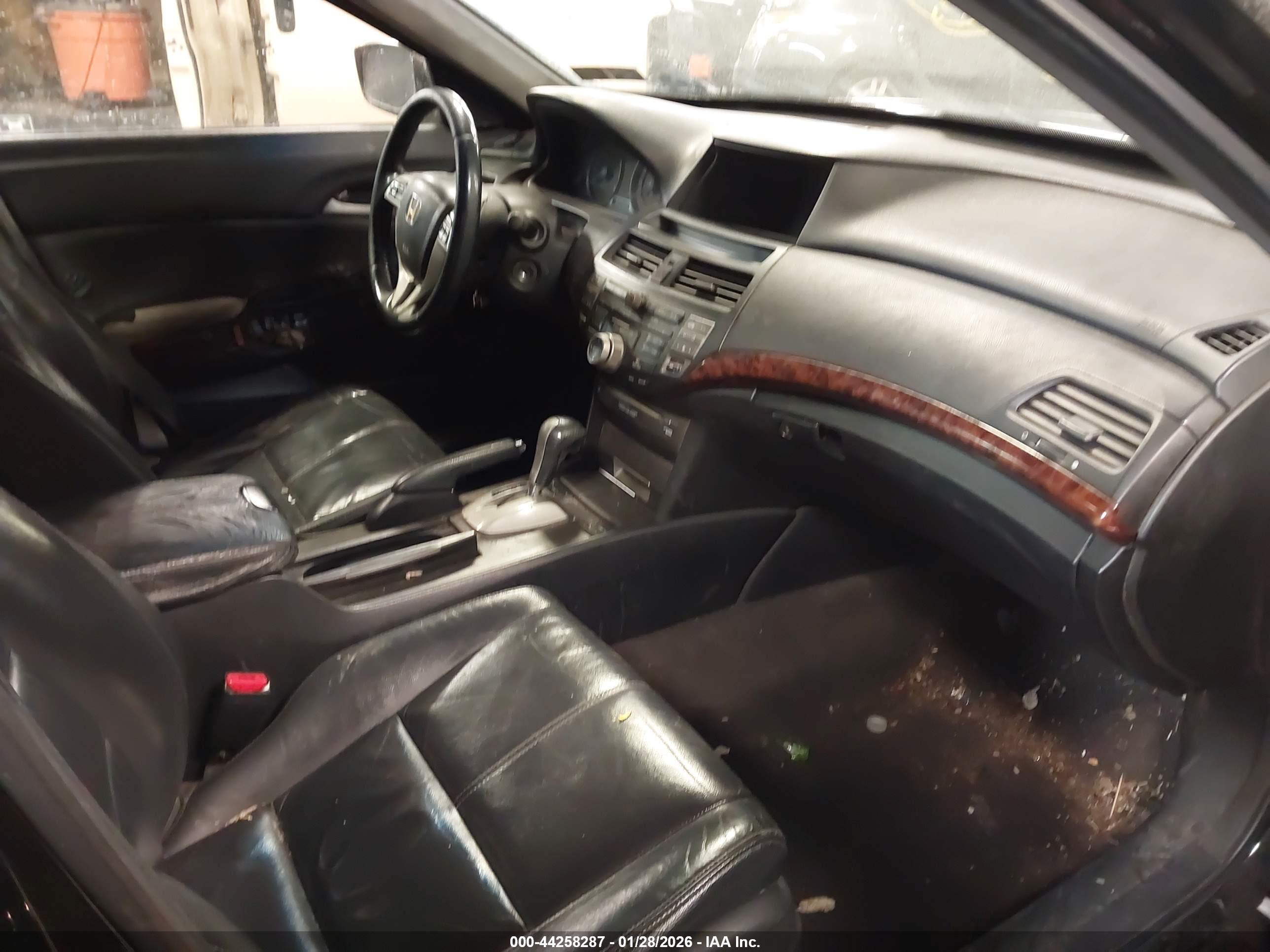 HONDA ACCORD image 5