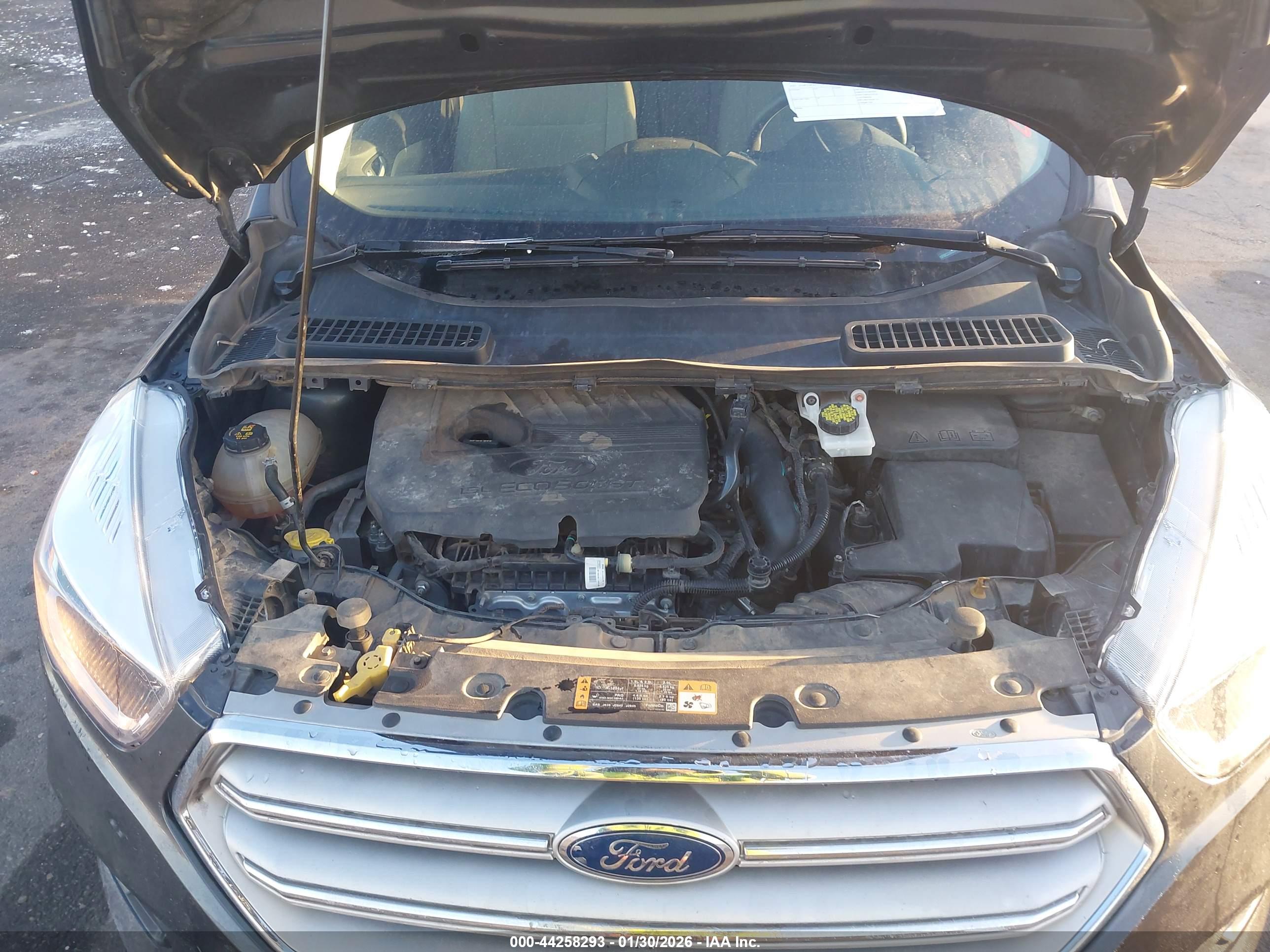 FORD ESCAPE image 10