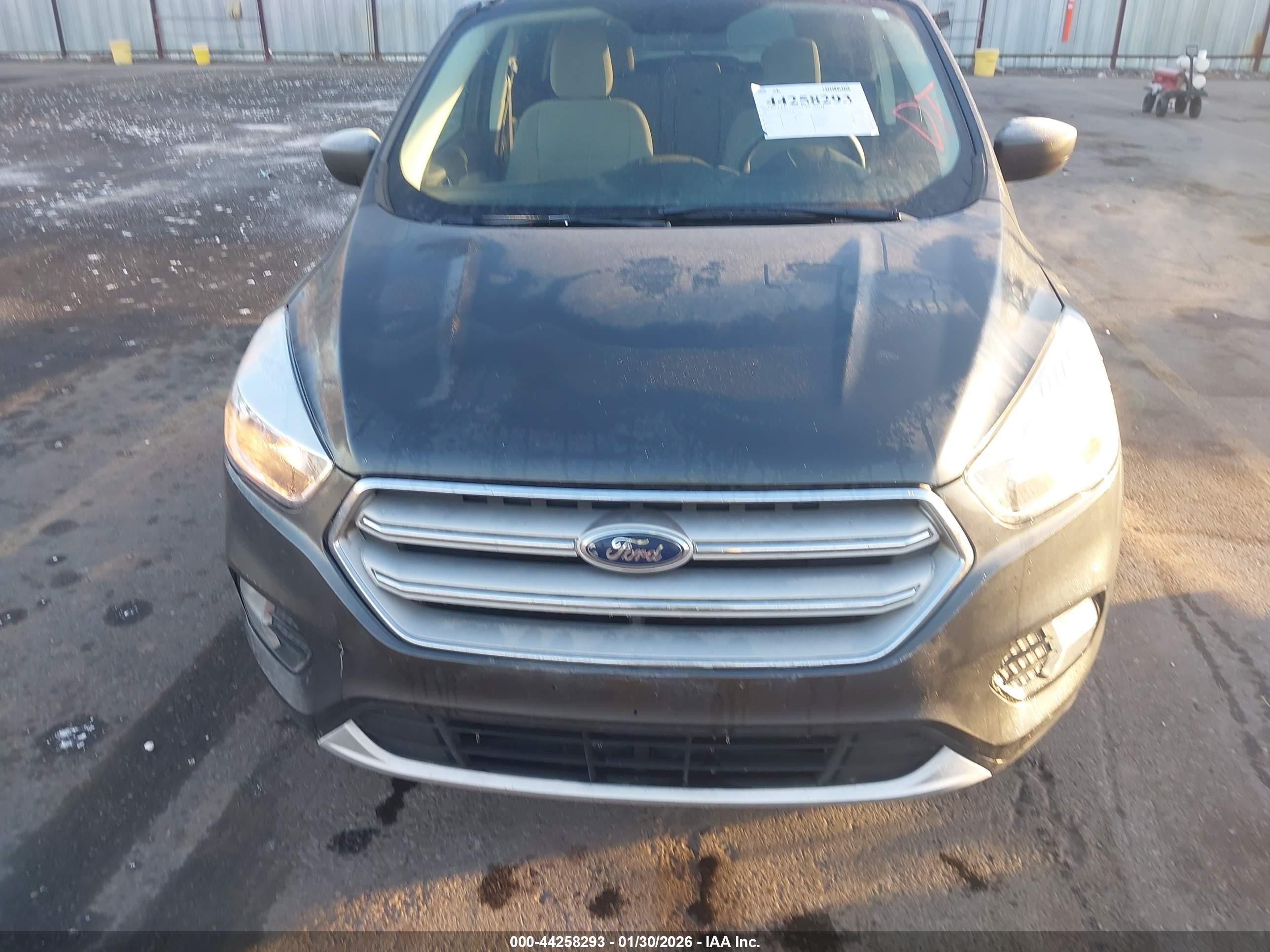 FORD ESCAPE image 6
