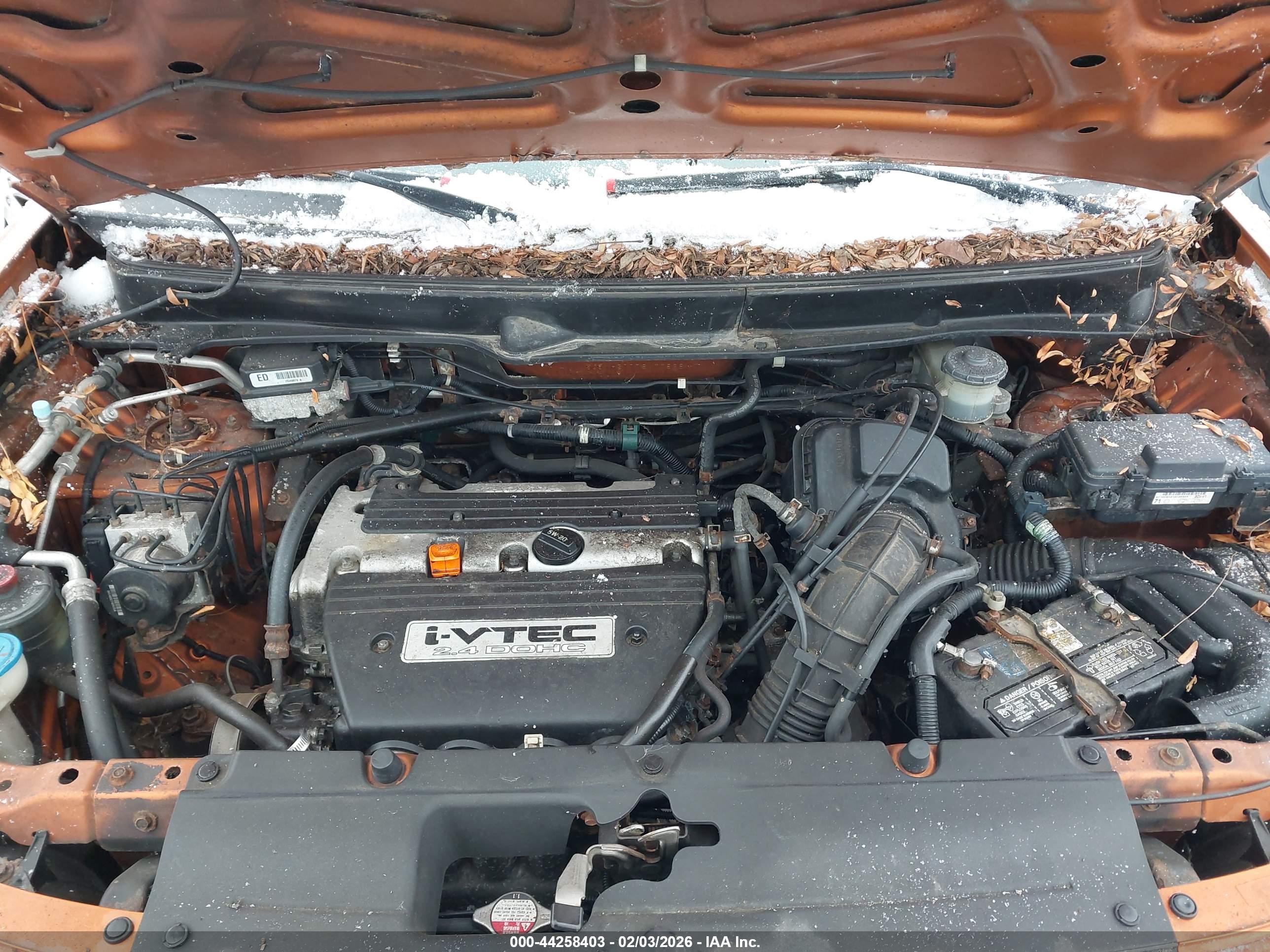 HONDA ELEMENT image 10