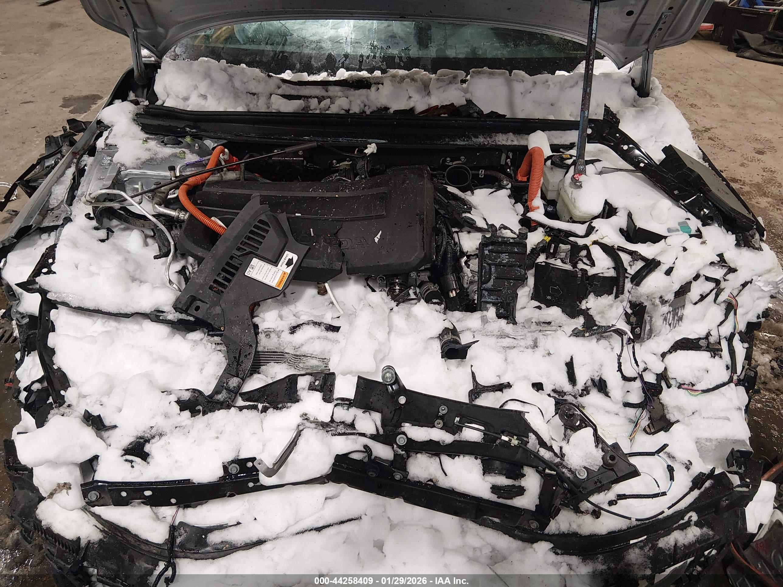HONDA ACCORD image 10