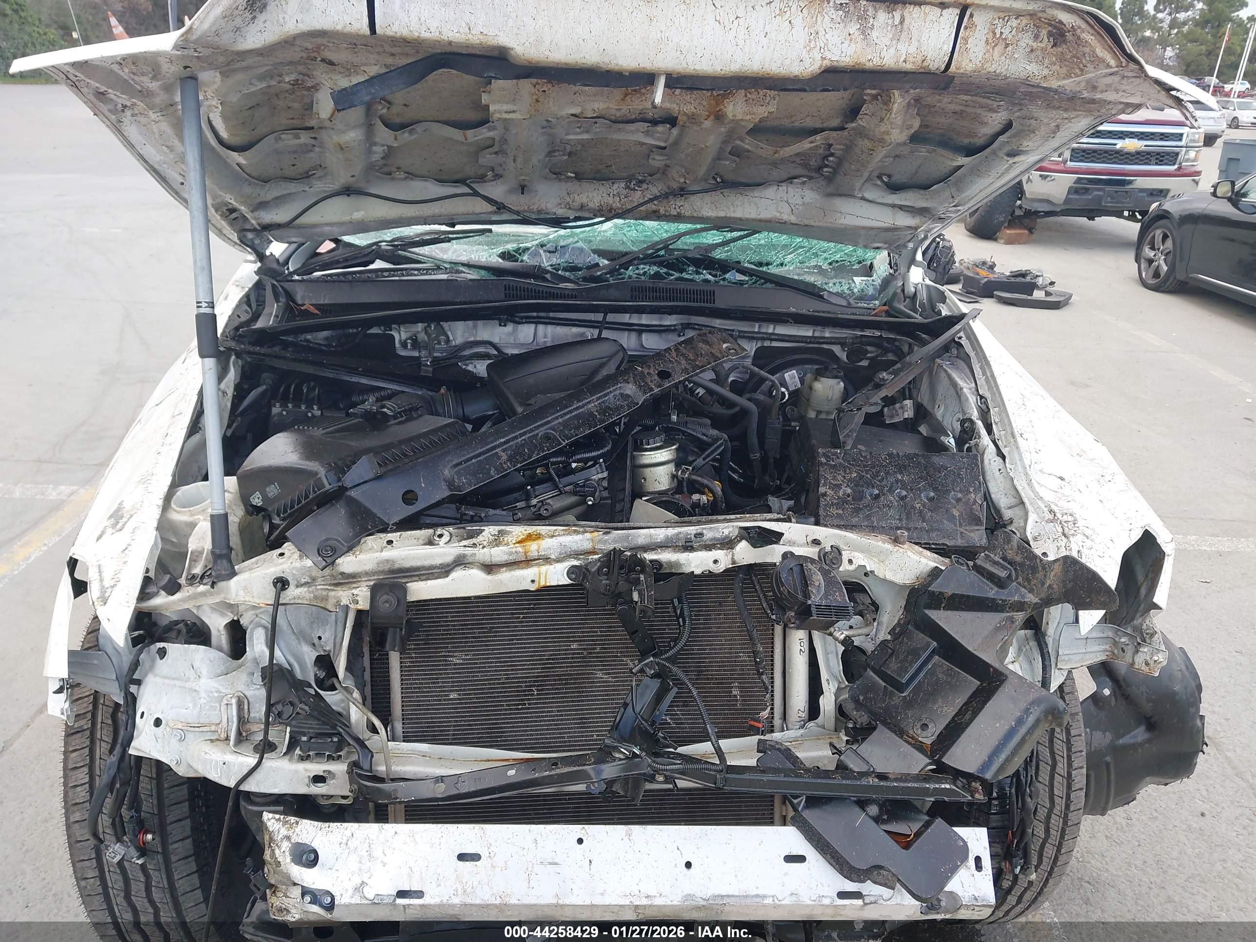 TOYOTA TACOMA image 10