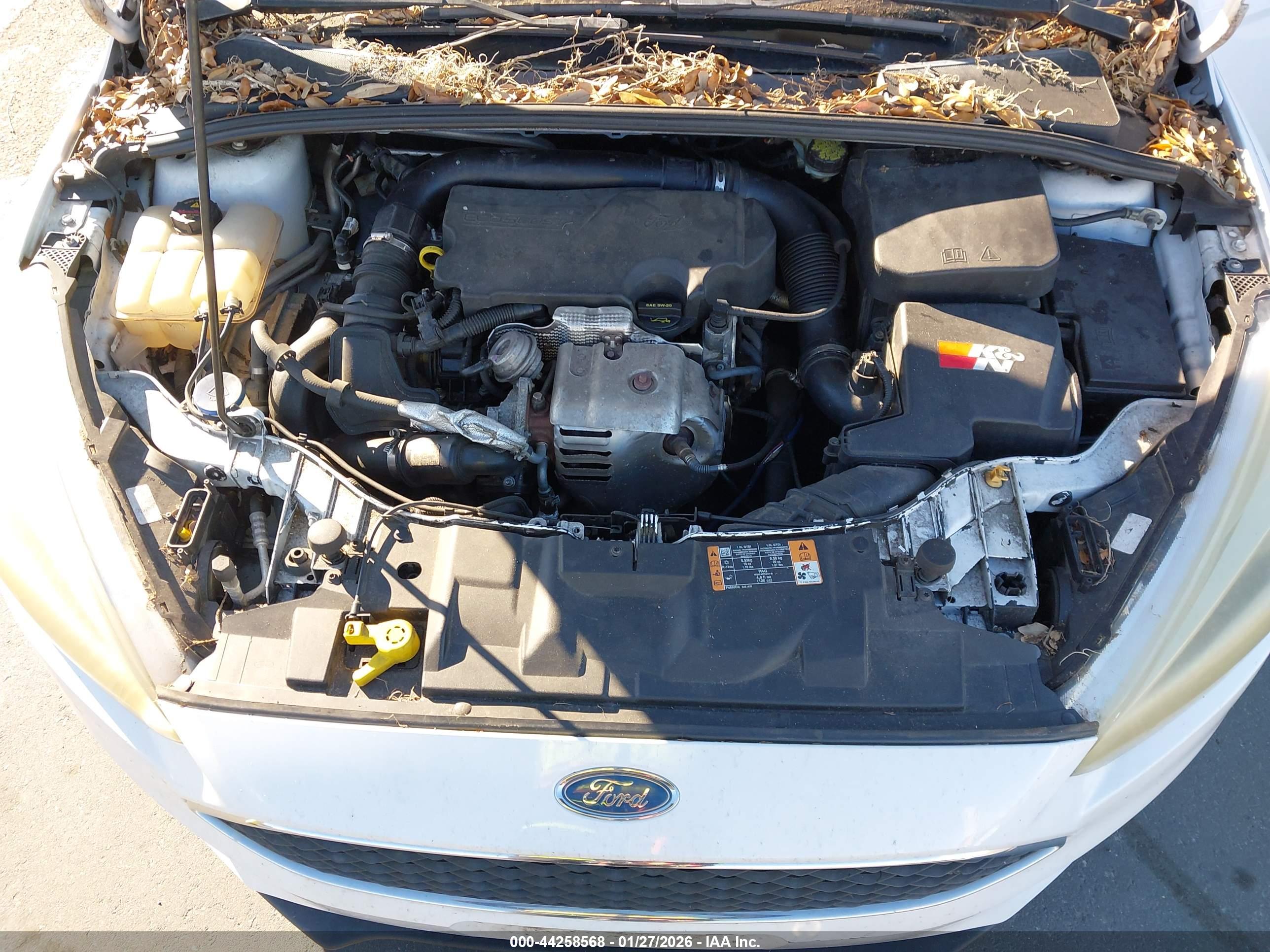 FORD FOCUS image 10