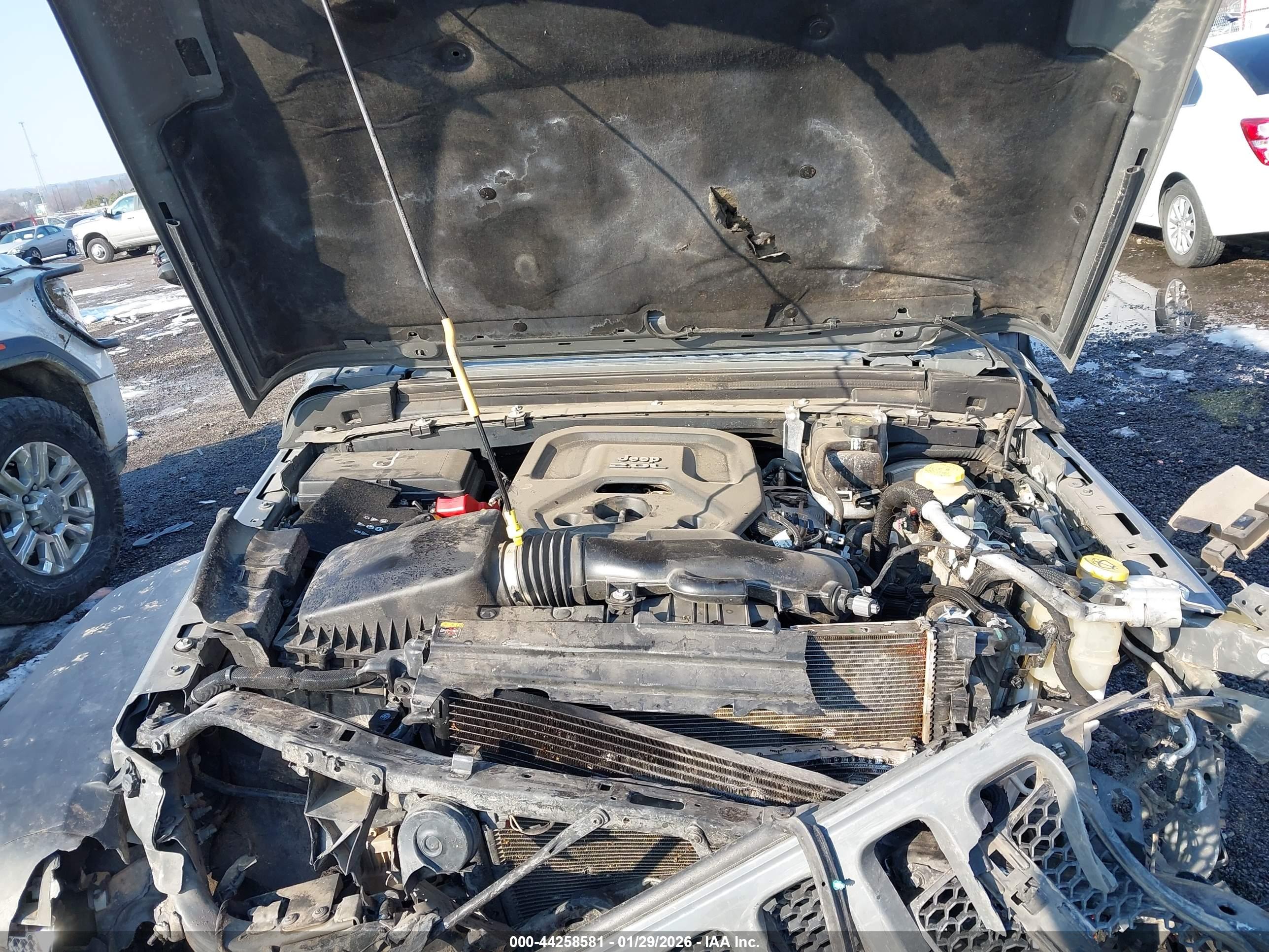 JEEP WRANGLER image 10