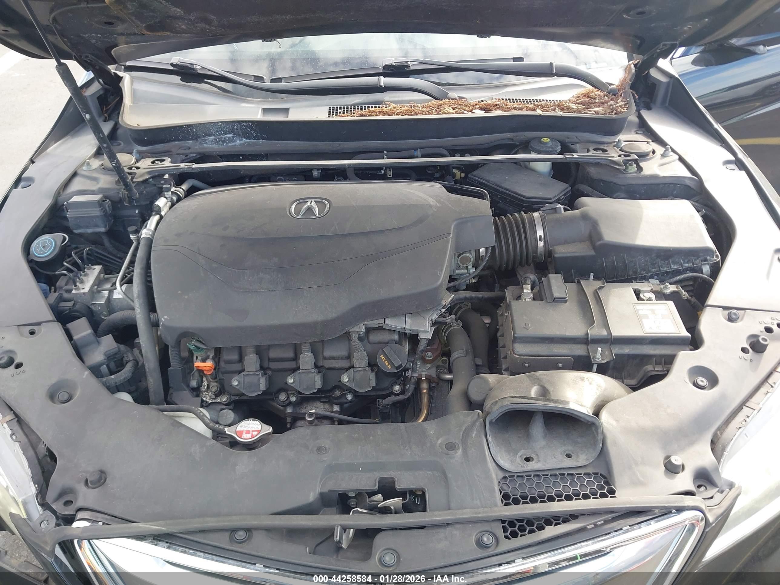 ACURA TLX image 10