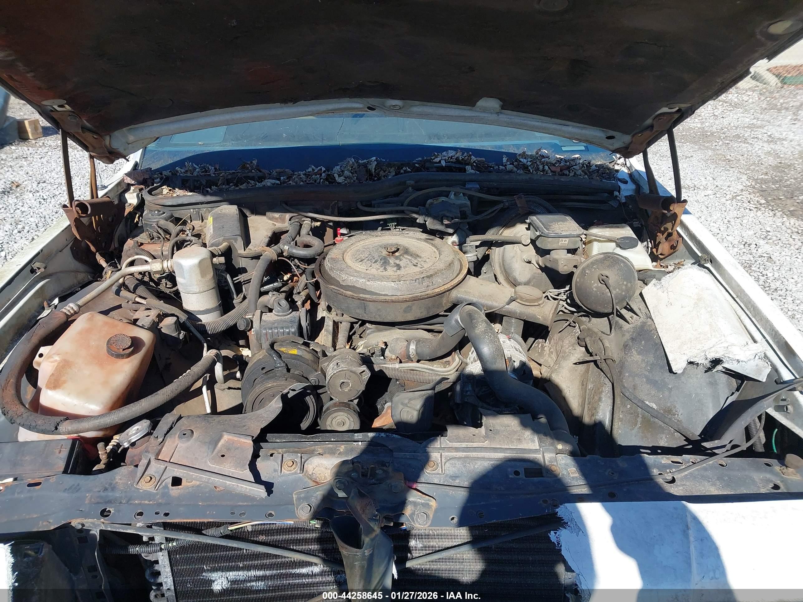 CHEVROLET CAPRICE image 10
