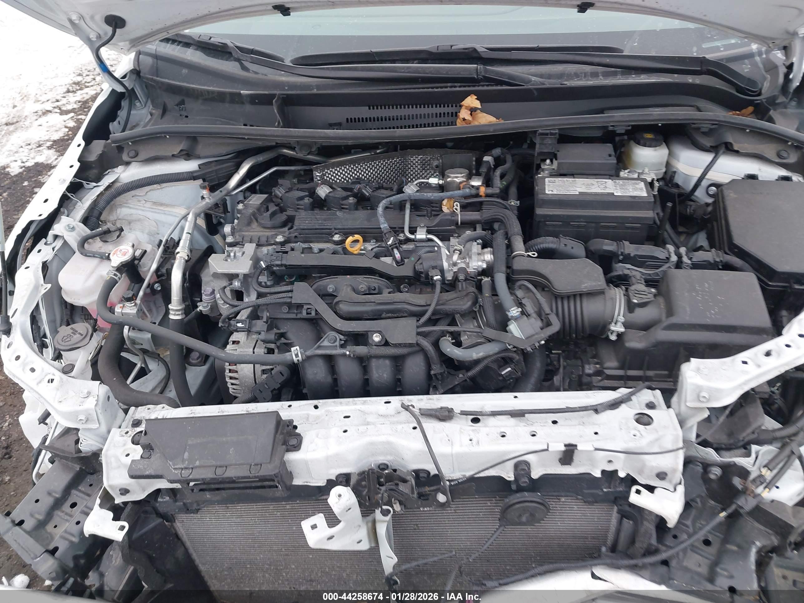 TOYOTA COROLLA image 10