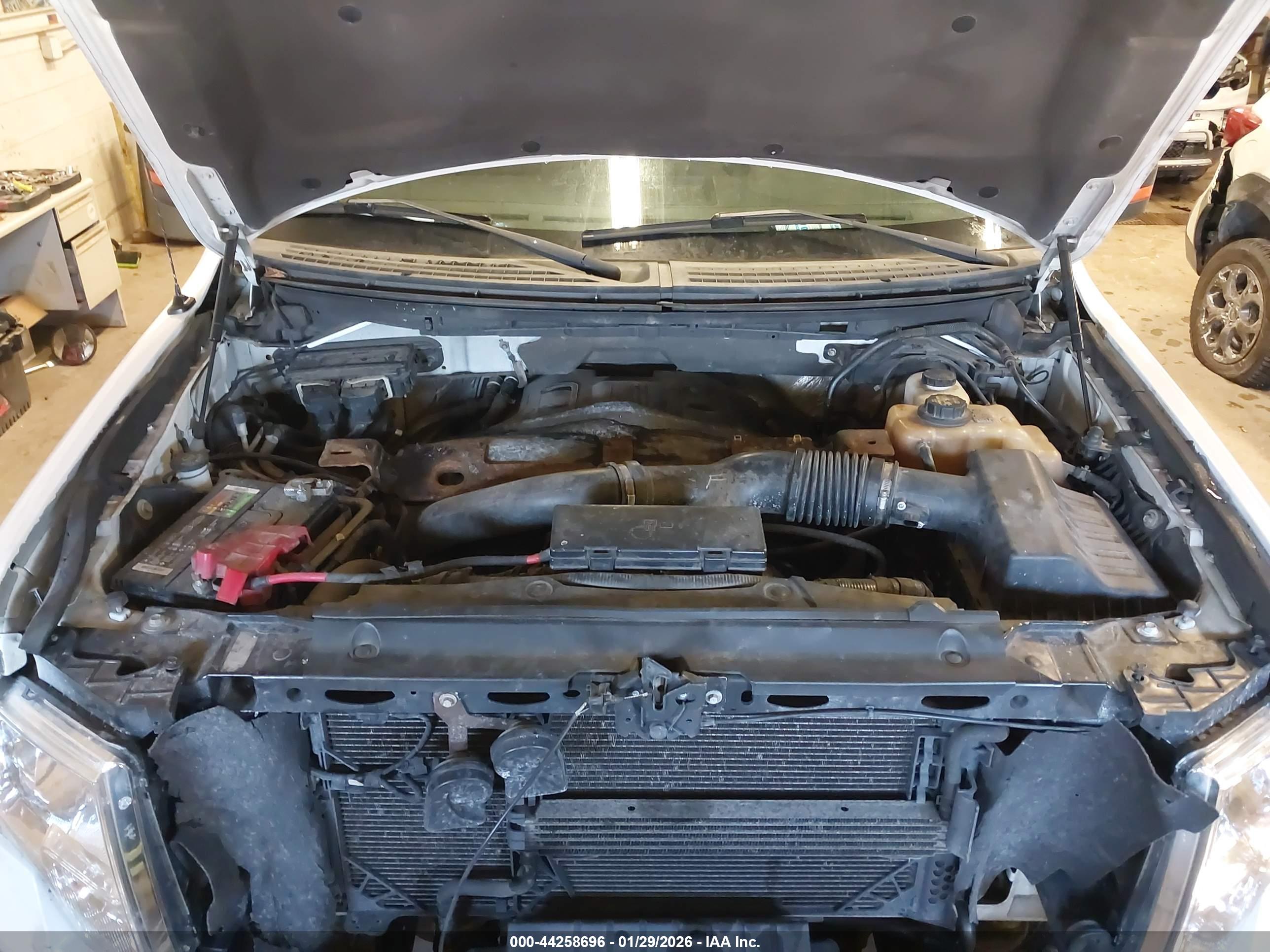FORD F-150 image 10