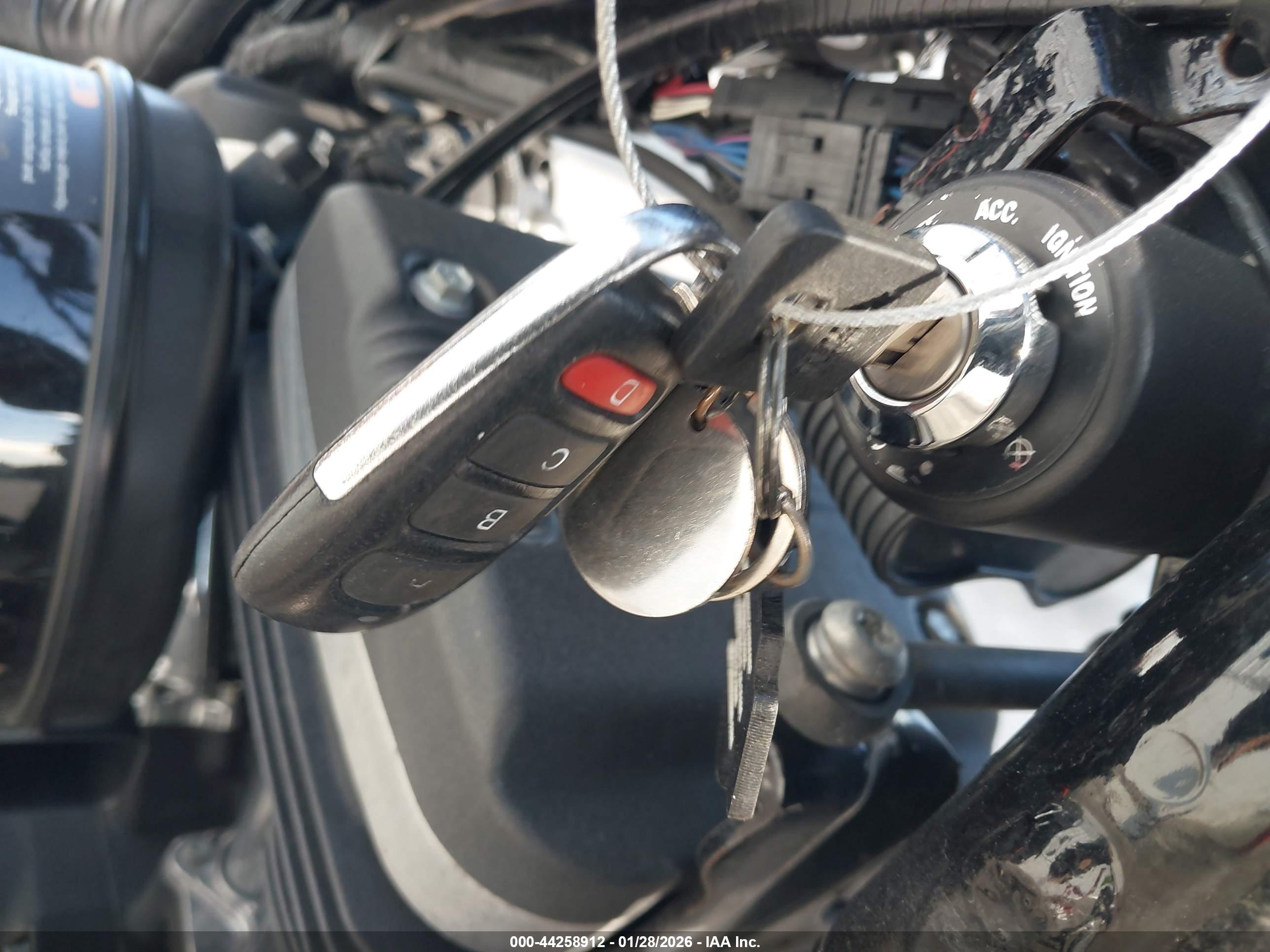 HARLEY-DAVIDSON XL883 image 11