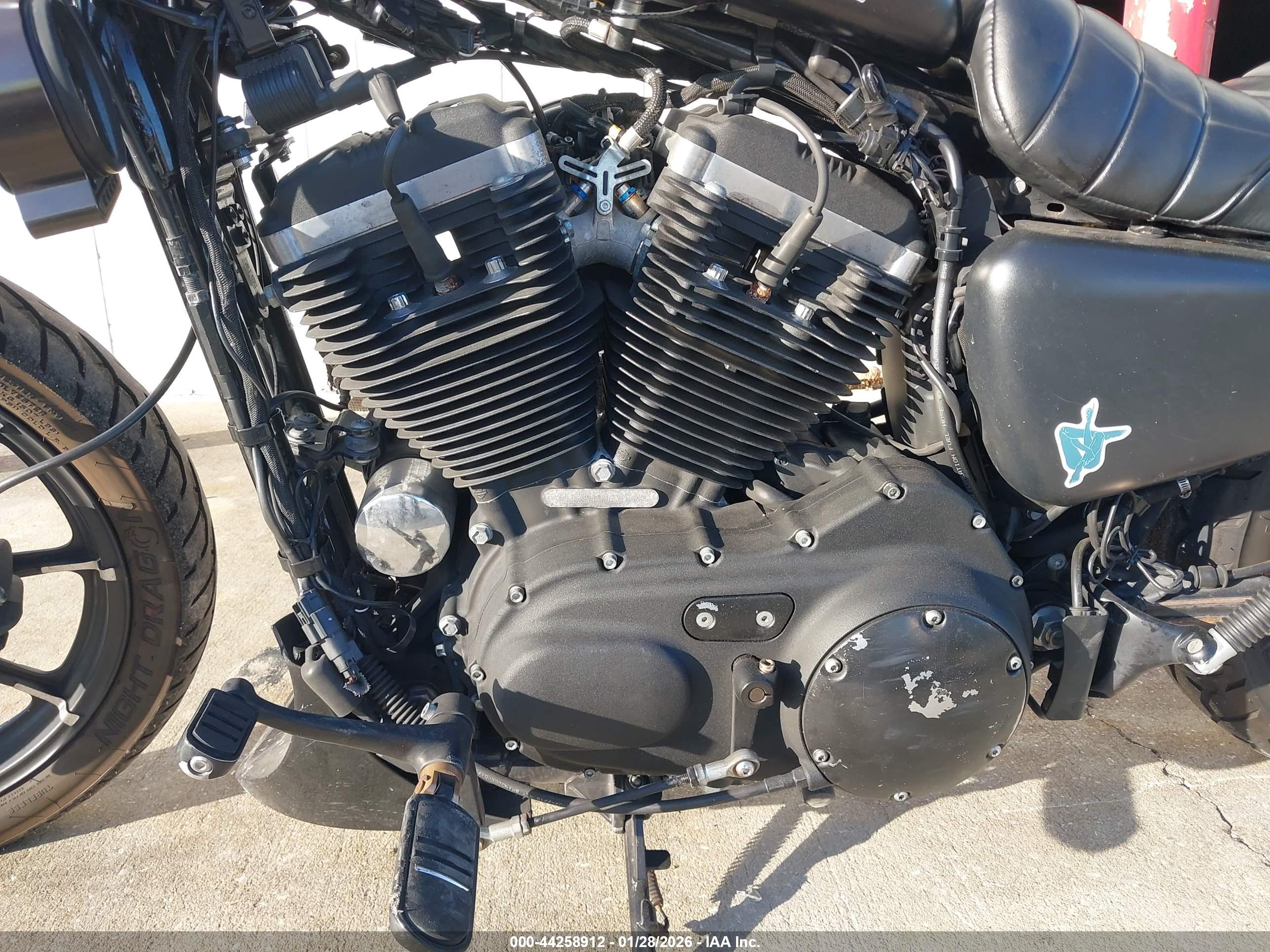 HARLEY-DAVIDSON XL883 image 9