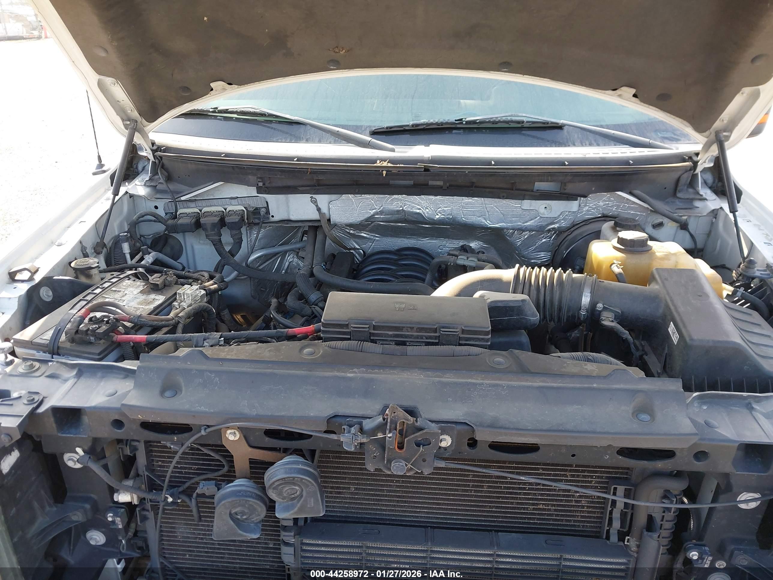 FORD F-150 image 10