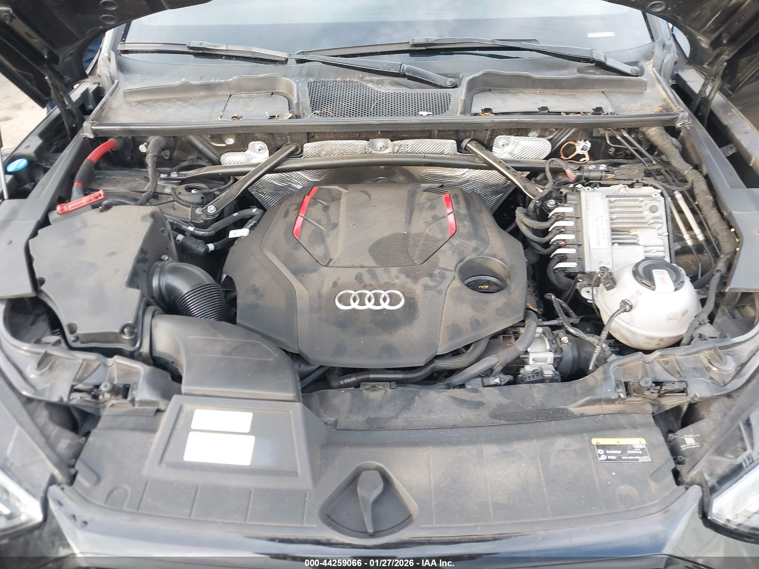 AUDI SQ5 image 10