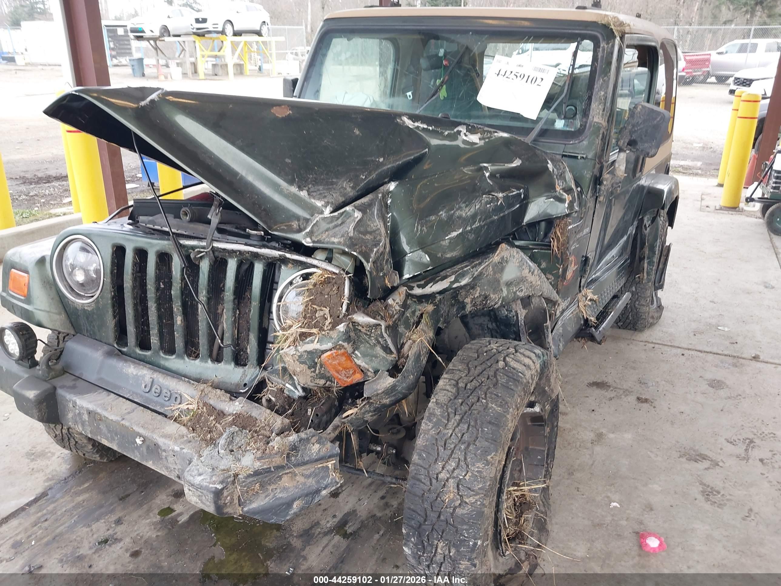 JEEP WRANGLER image 6