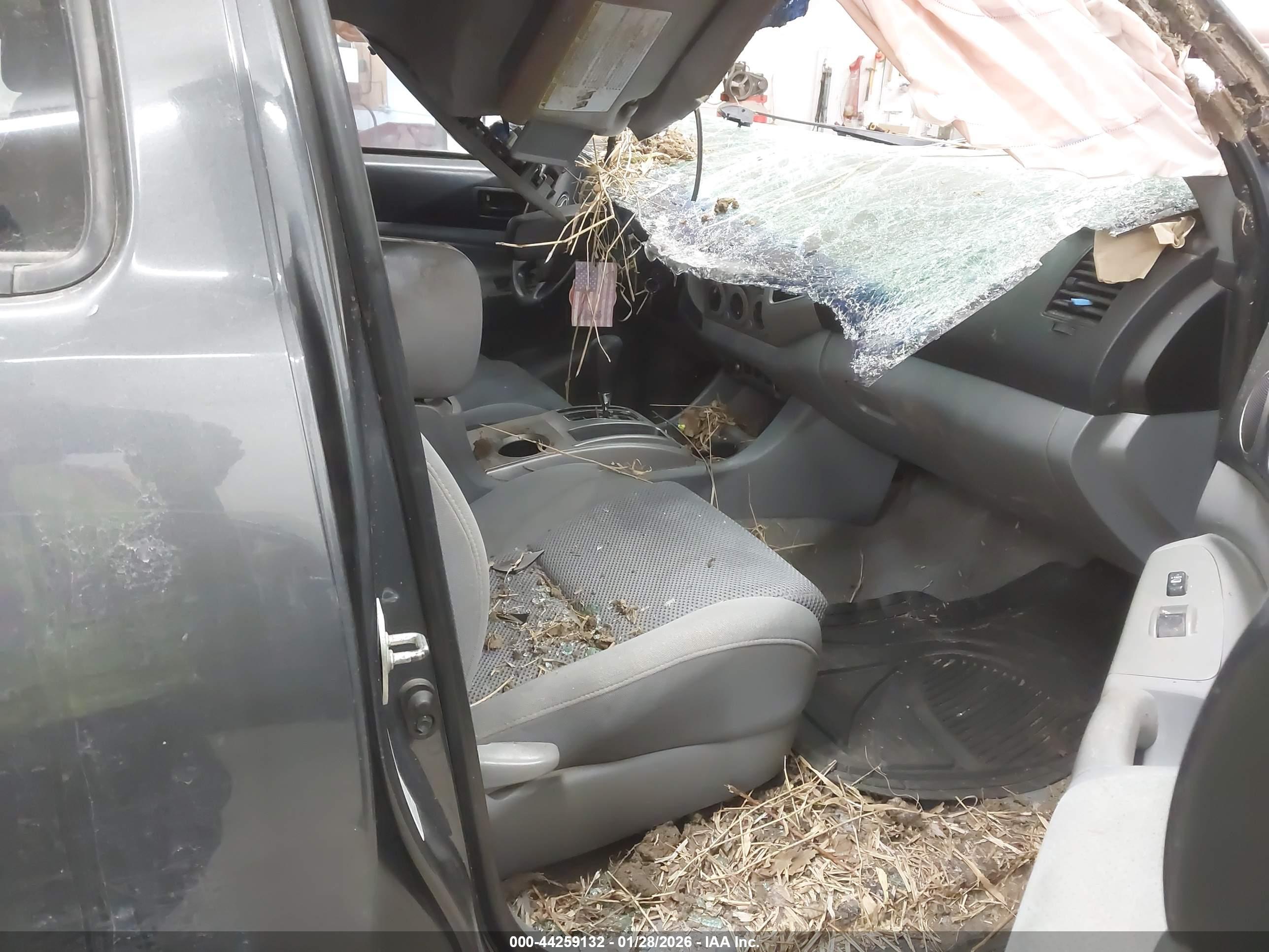 TOYOTA TACOMA image 5