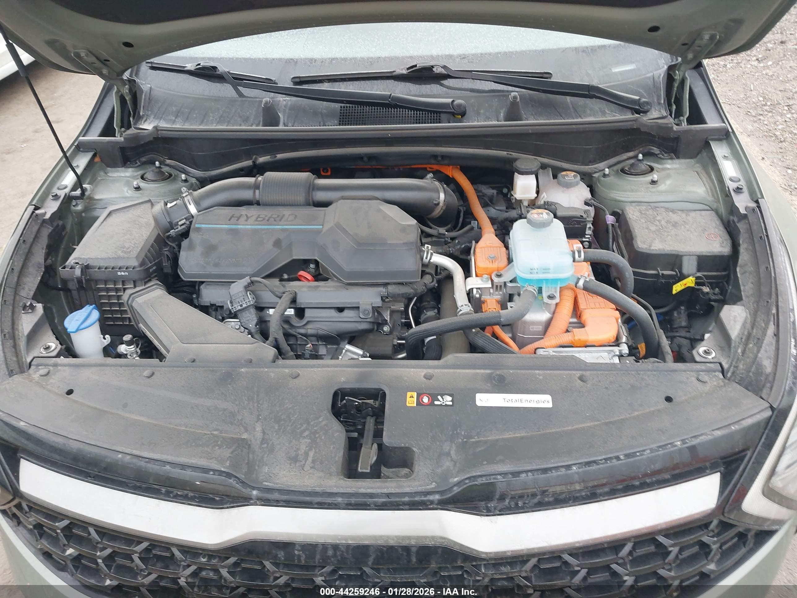 KIA SPORTAGE image 10