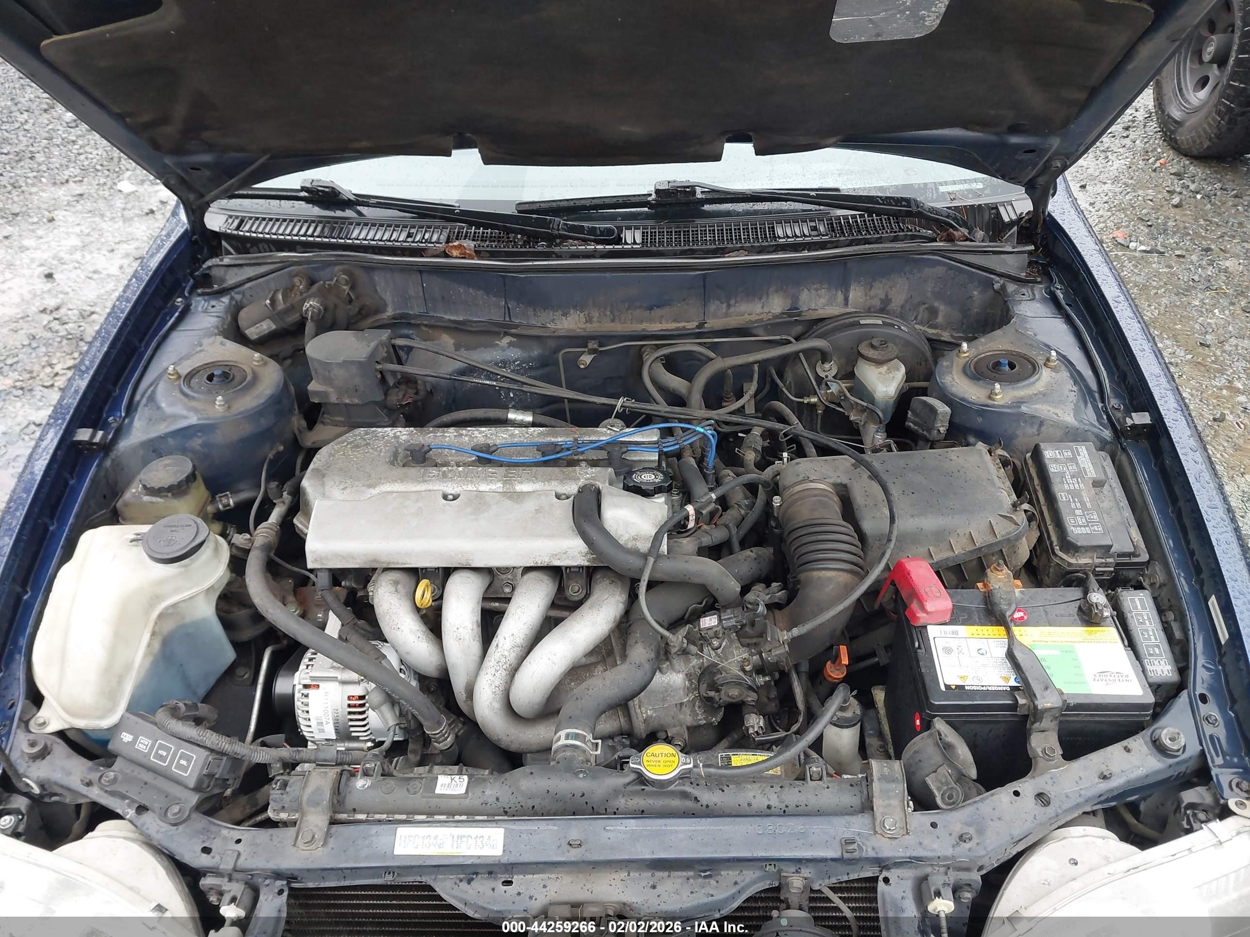 TOYOTA COROLLA image 10