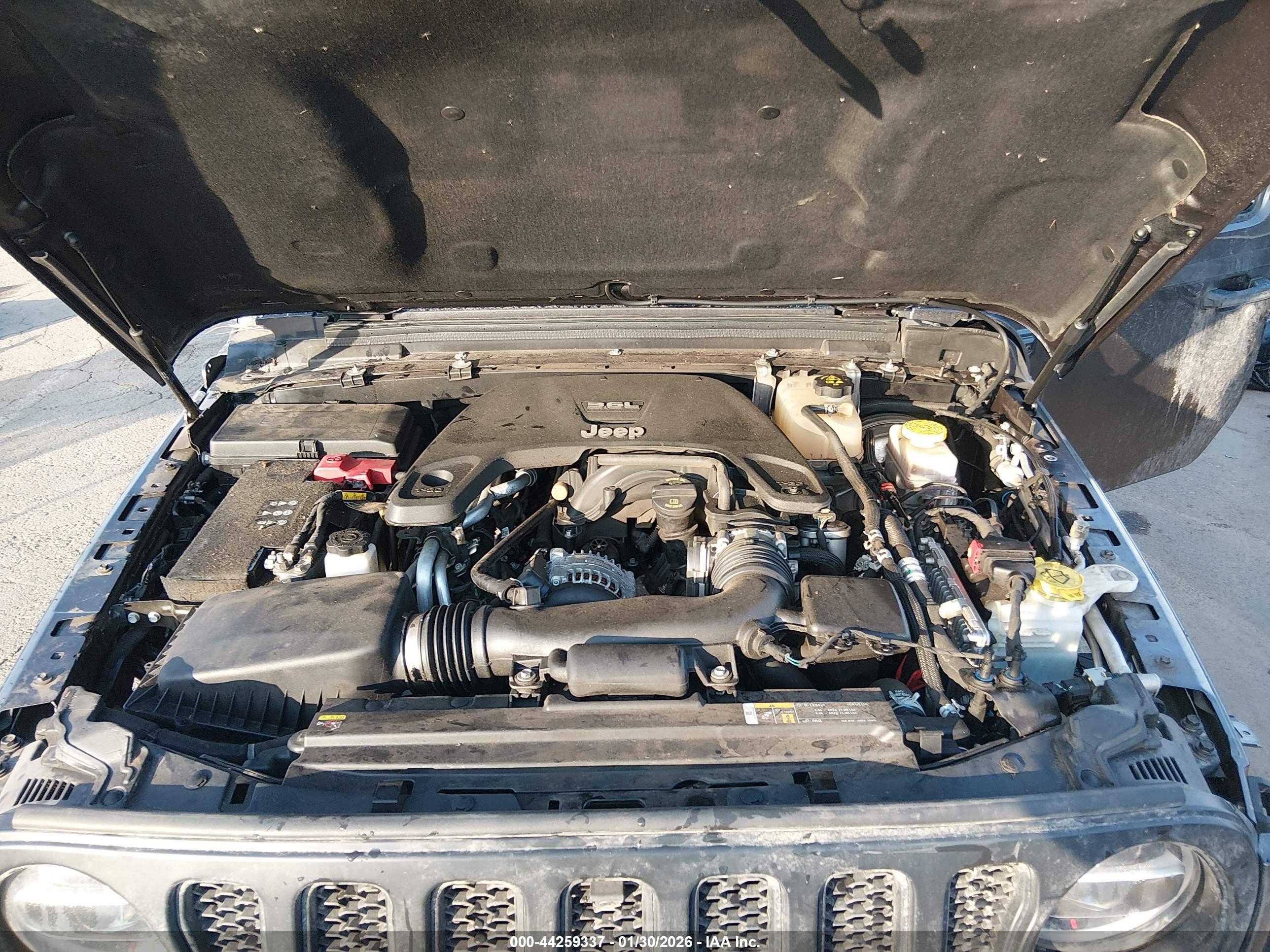 JEEP WRANGLER image 10