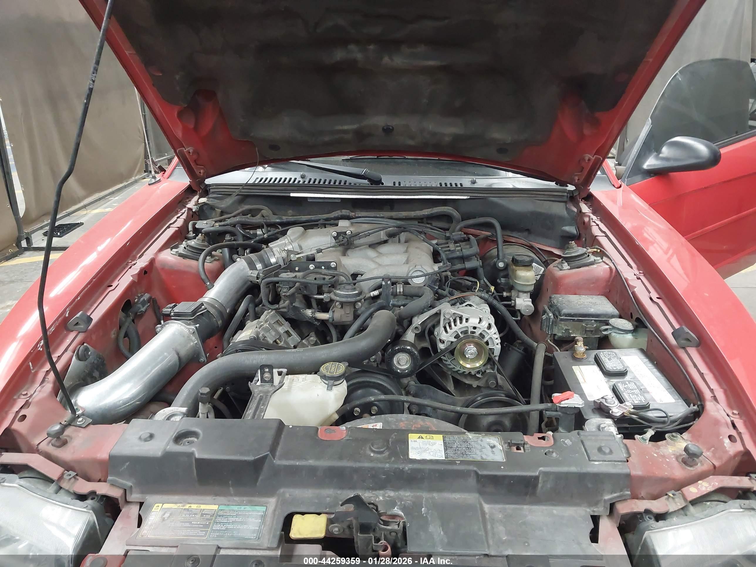FORD MUSTANG image 10