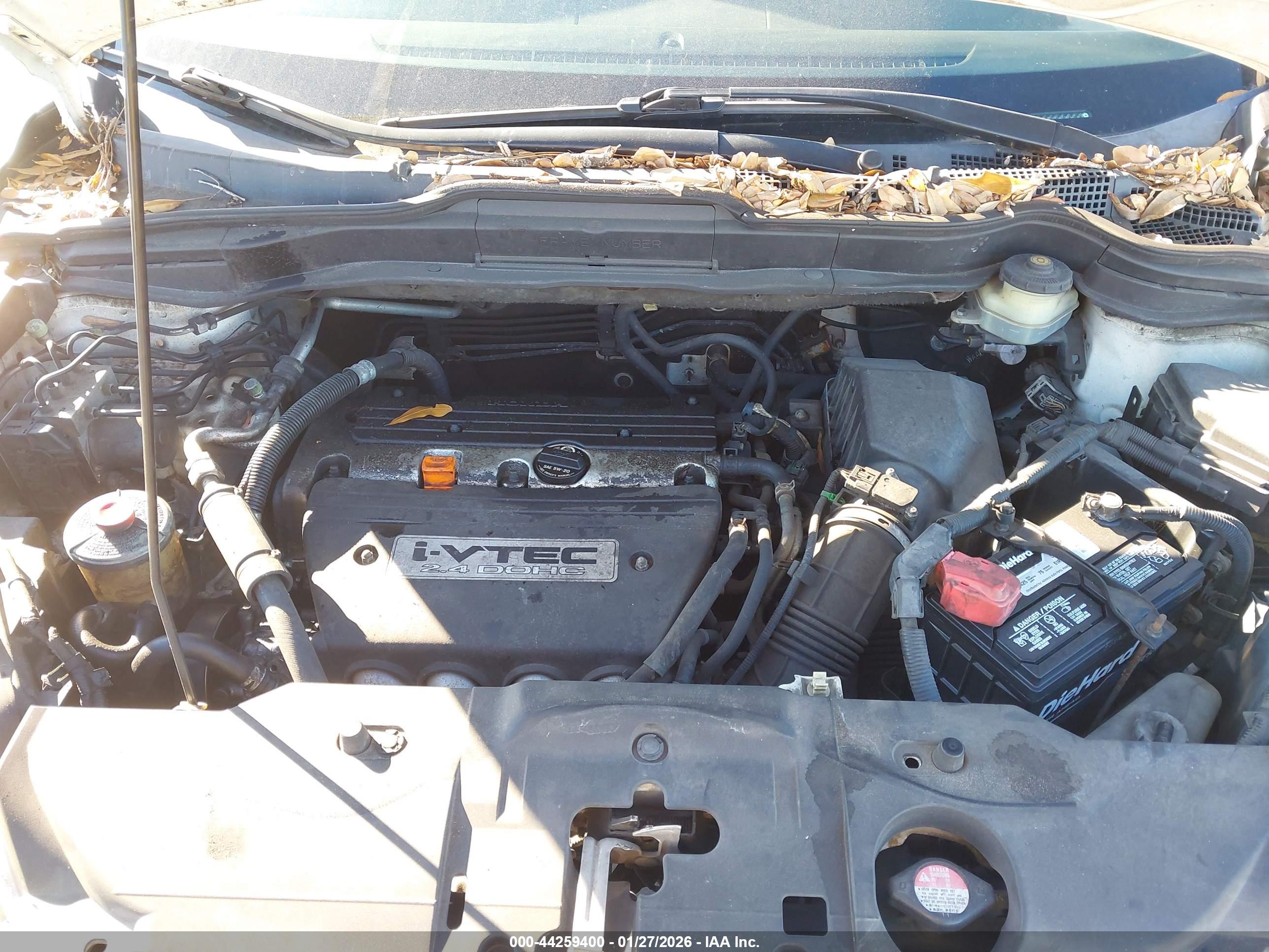 HONDA CR-V image 10