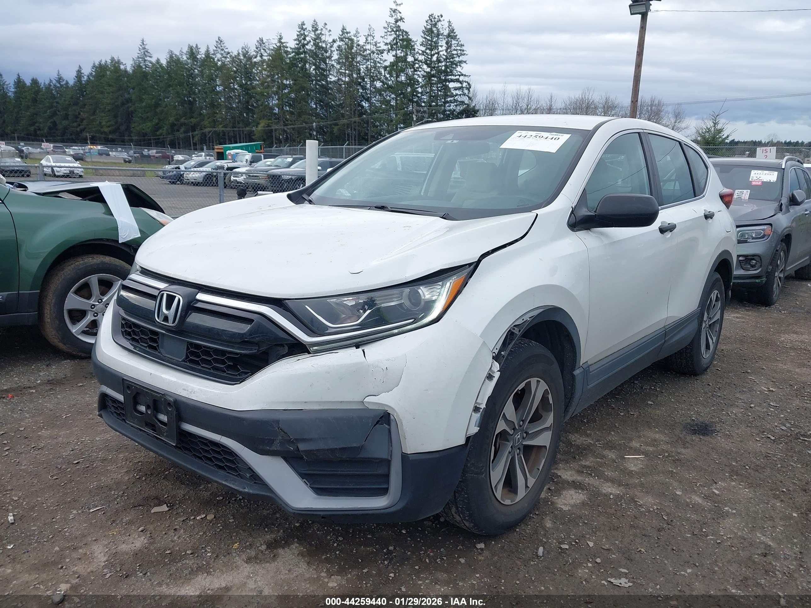 HONDA CR-V image 6