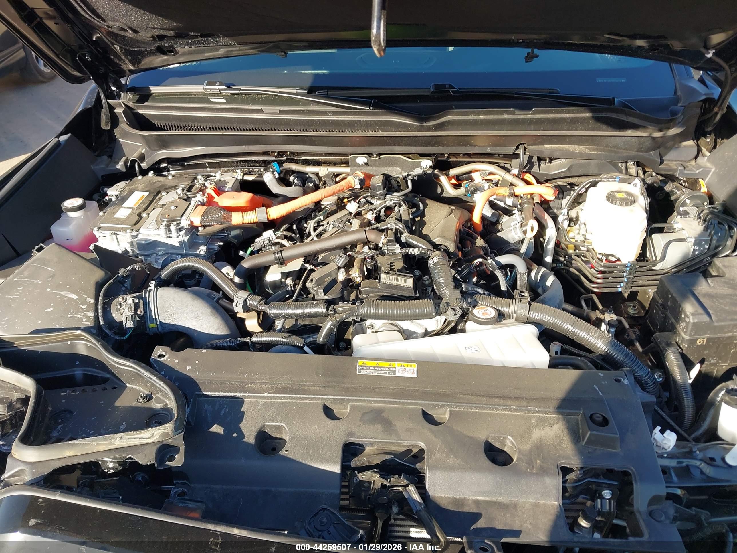 TOYOTA TACOMA image 10