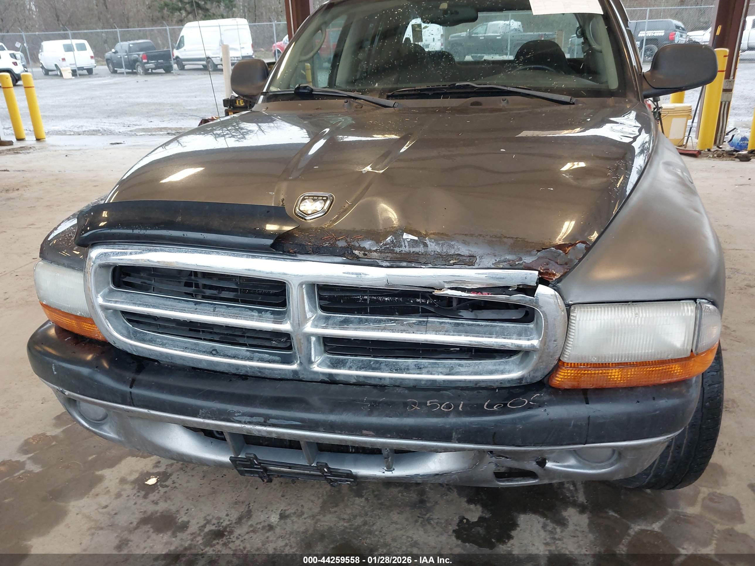DODGE DAKOTA image 6