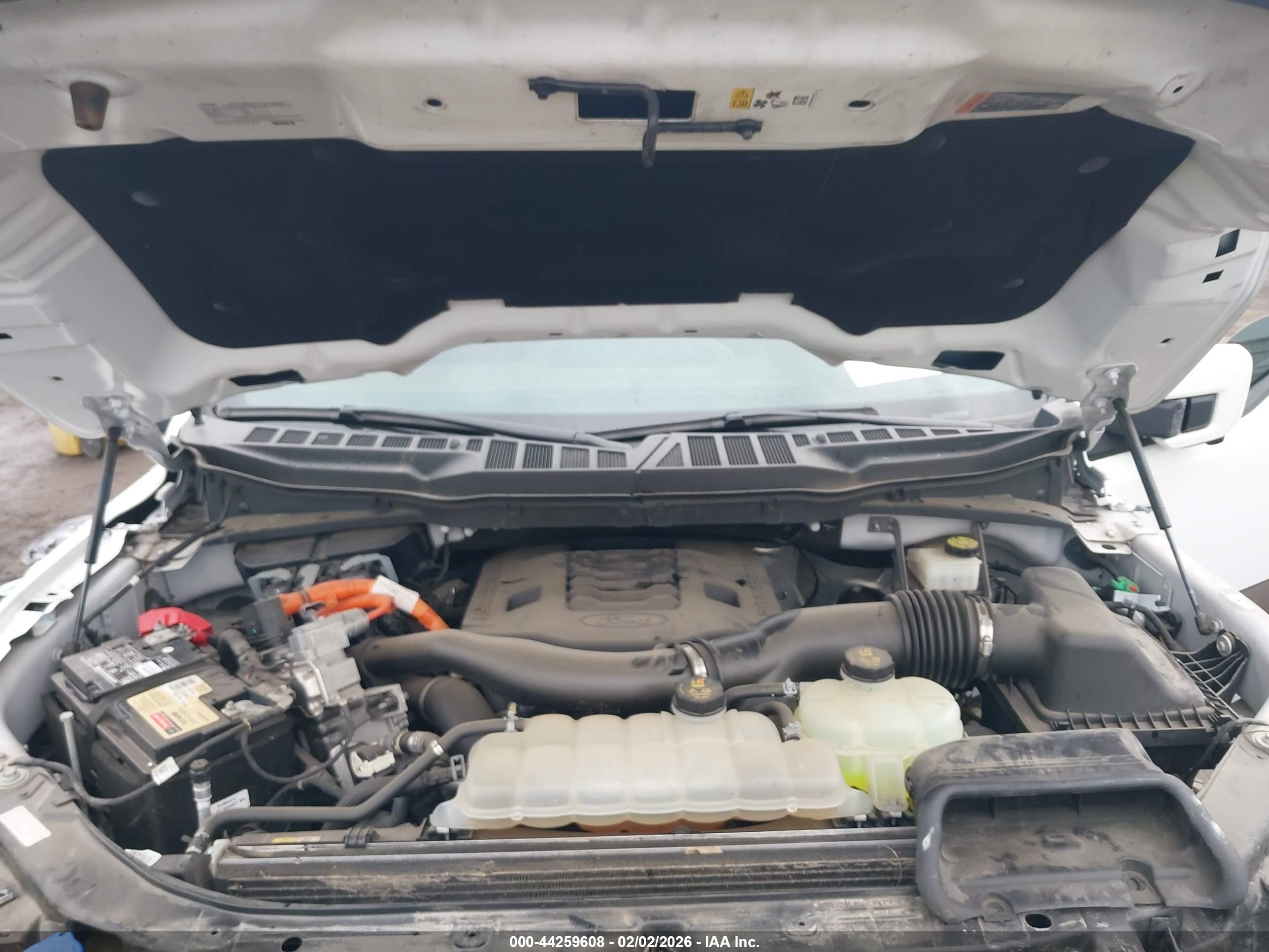 FORD F-150 image 10