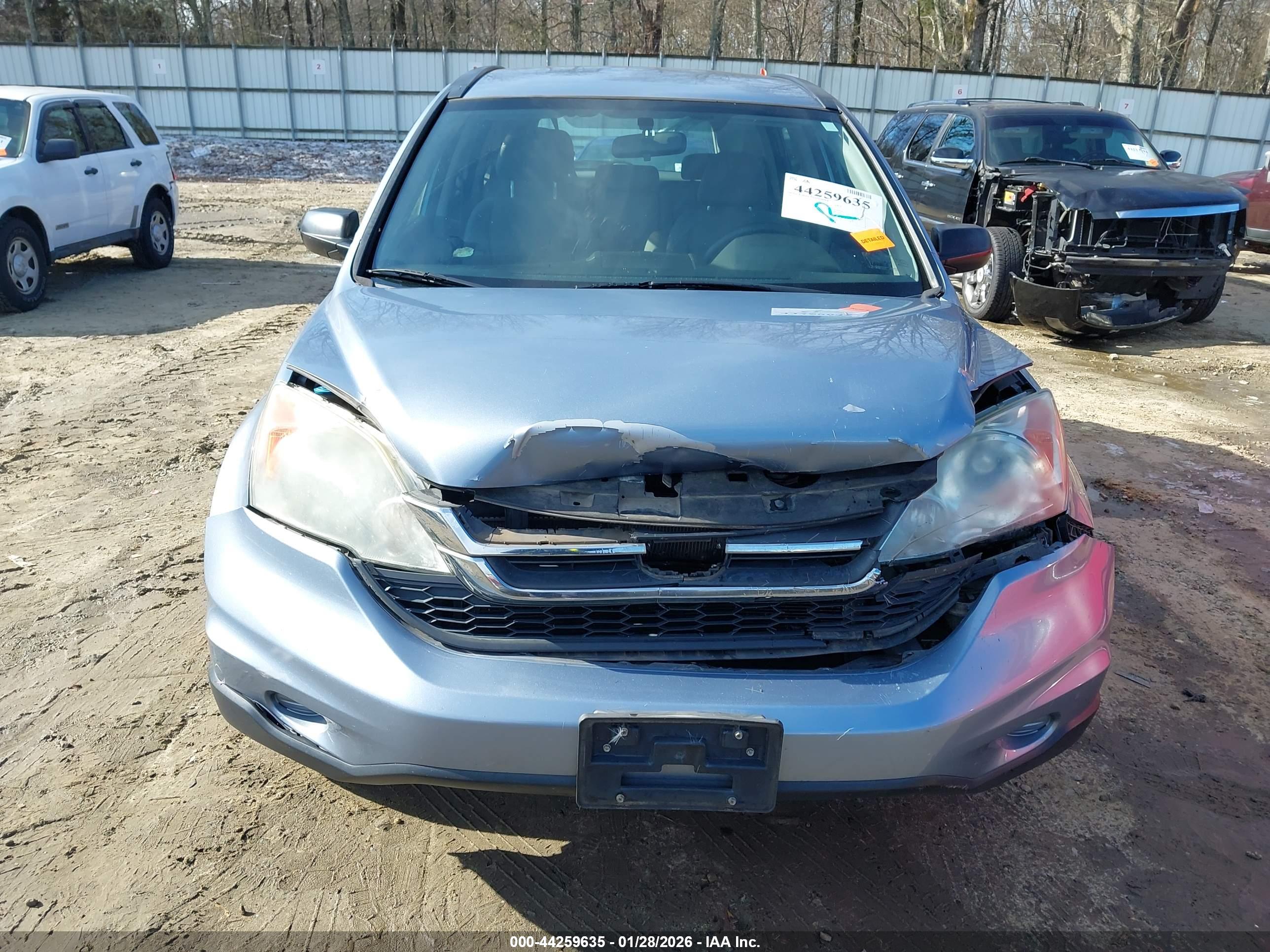 HONDA CR-V image 6