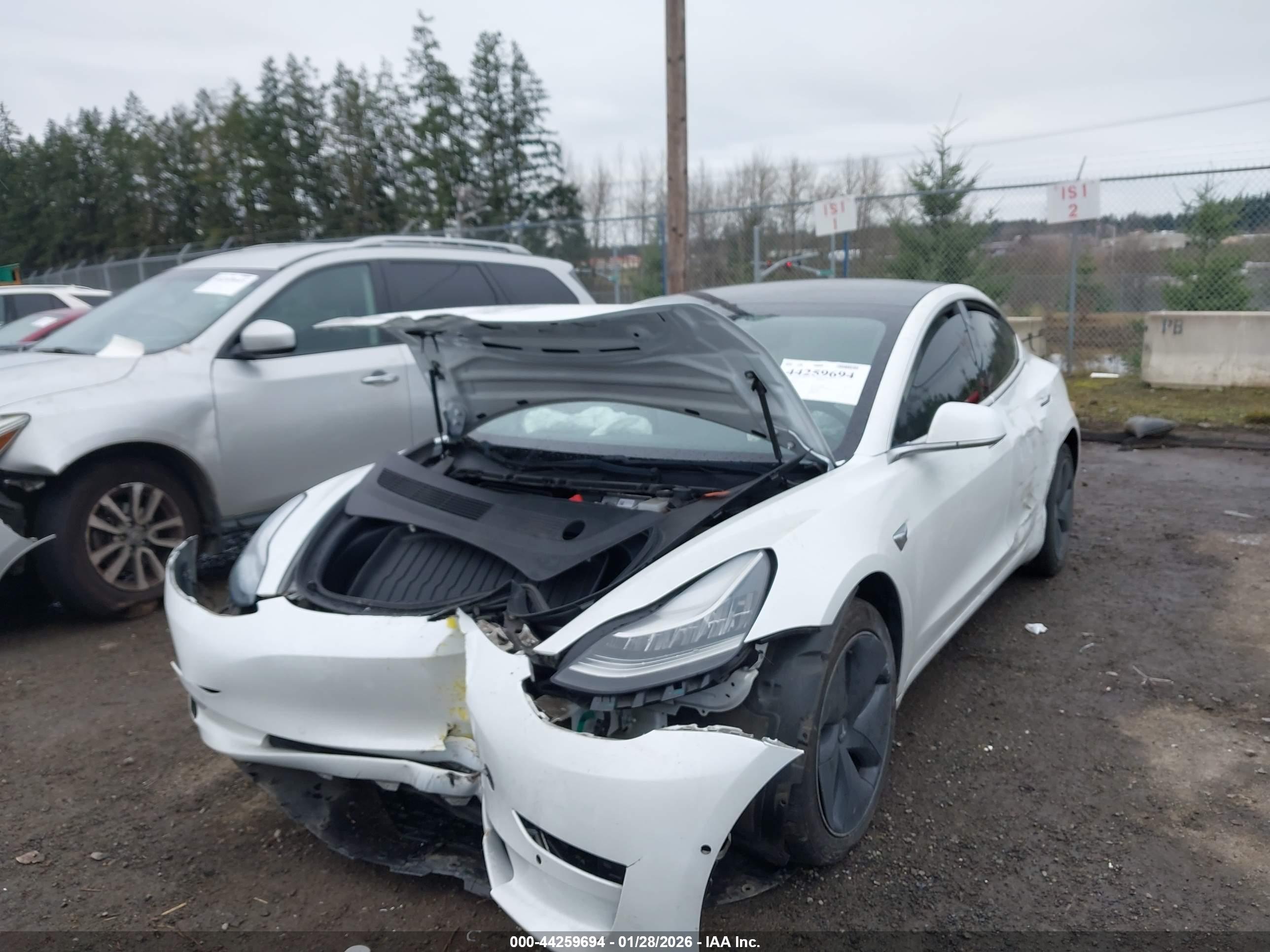 TESLA MODEL image 6
