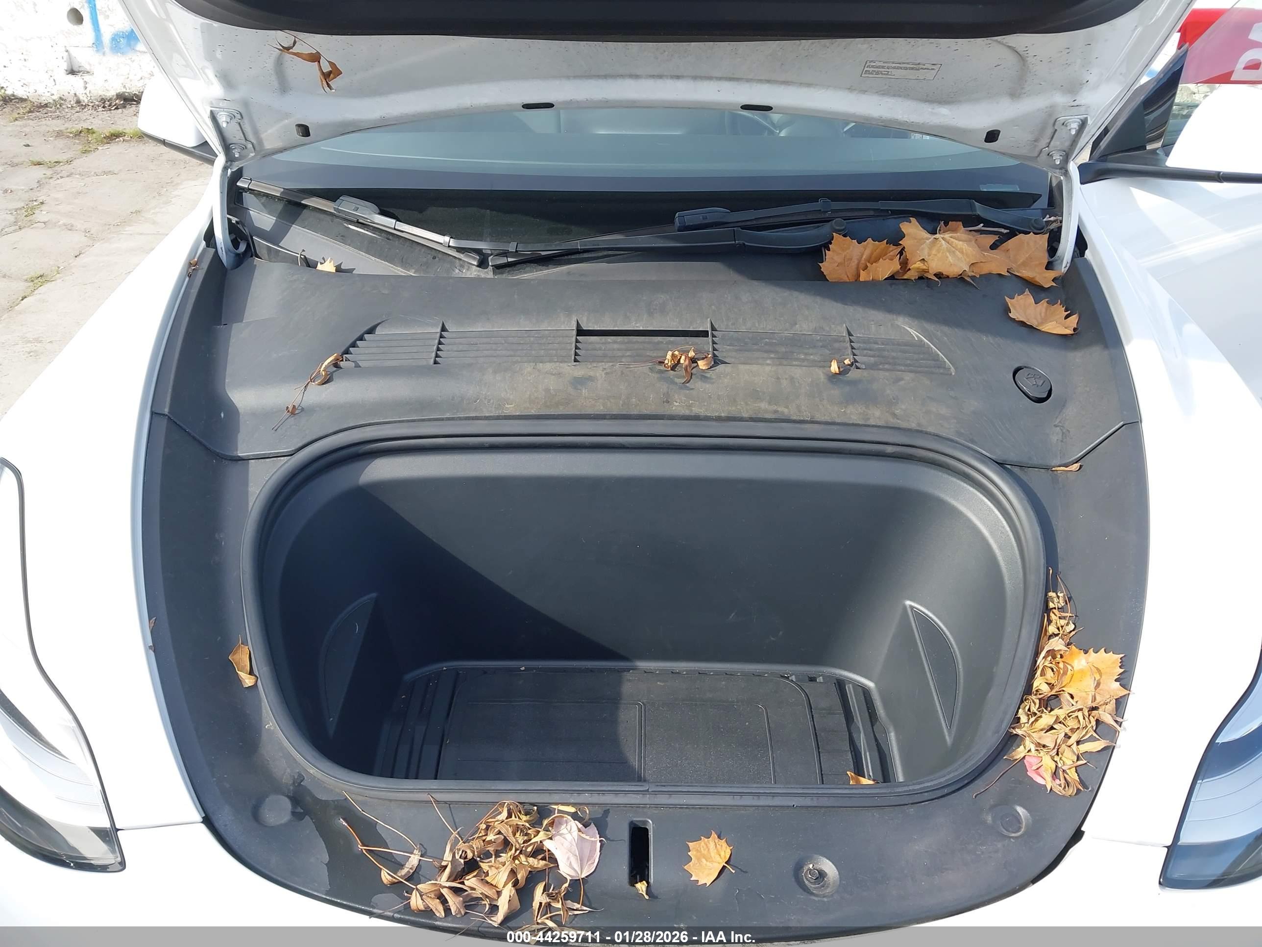 TESLA MODEL image 10