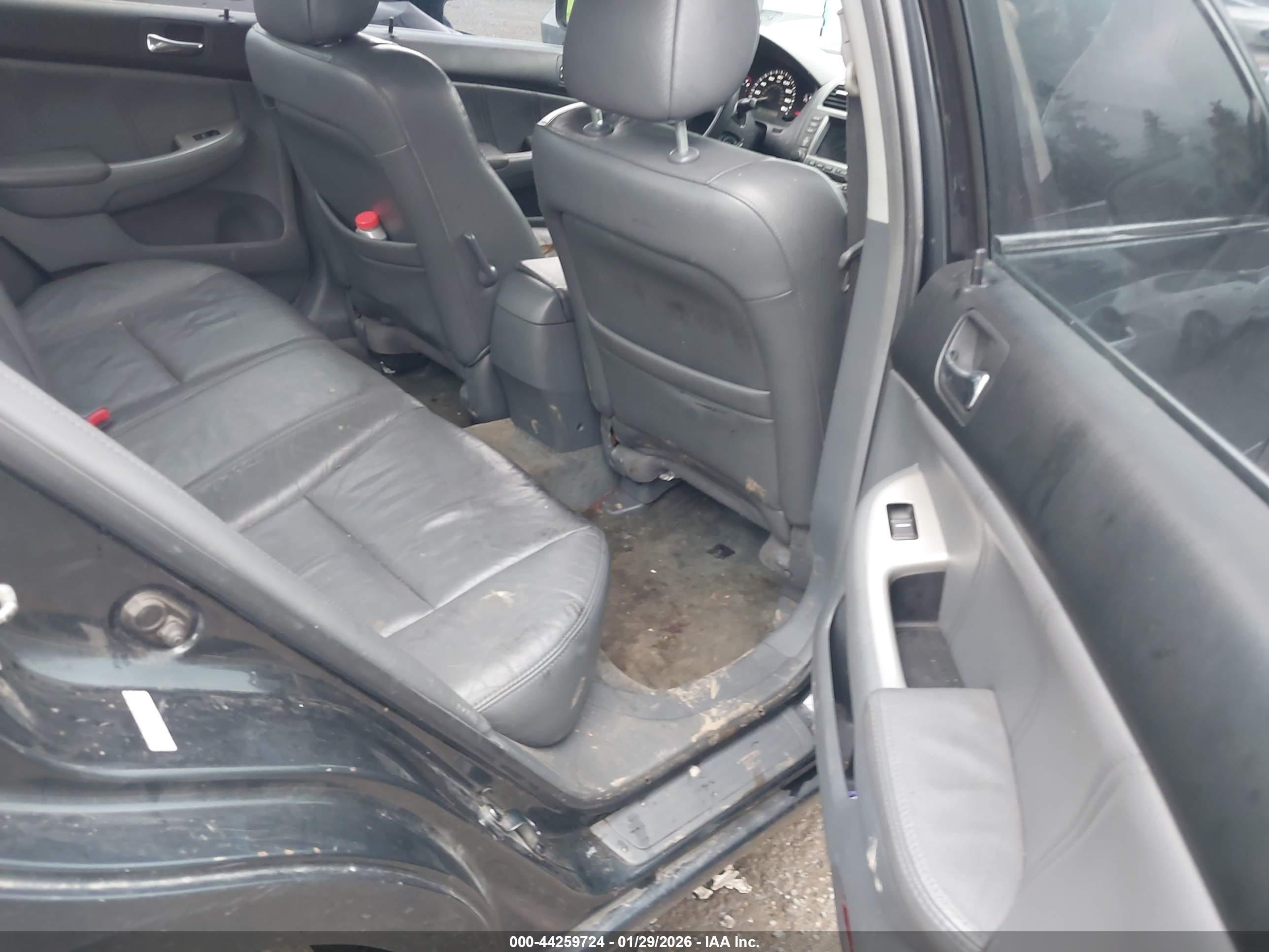 HONDA ACCORD image 8