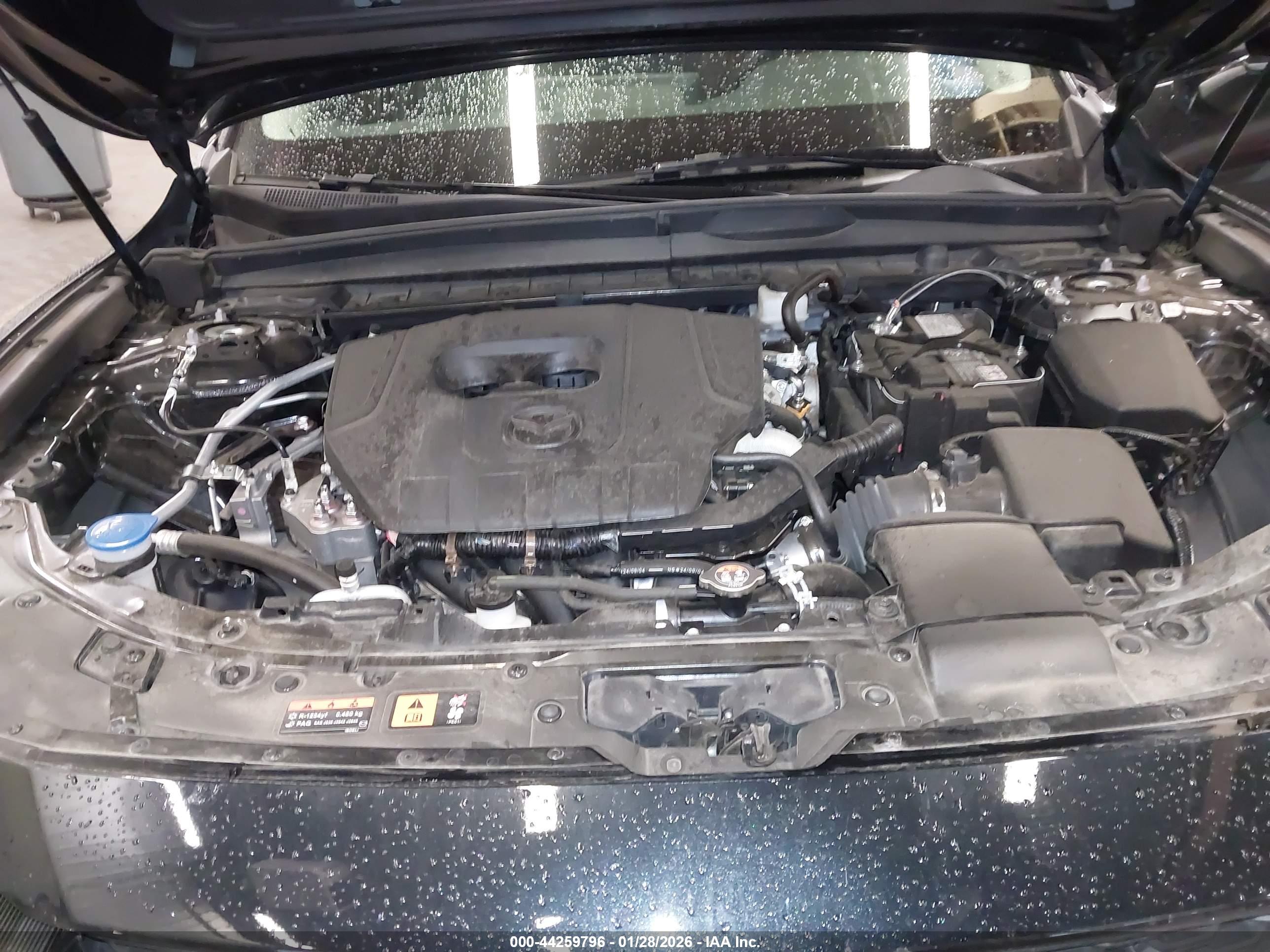 MAZDA CX-50 image 10