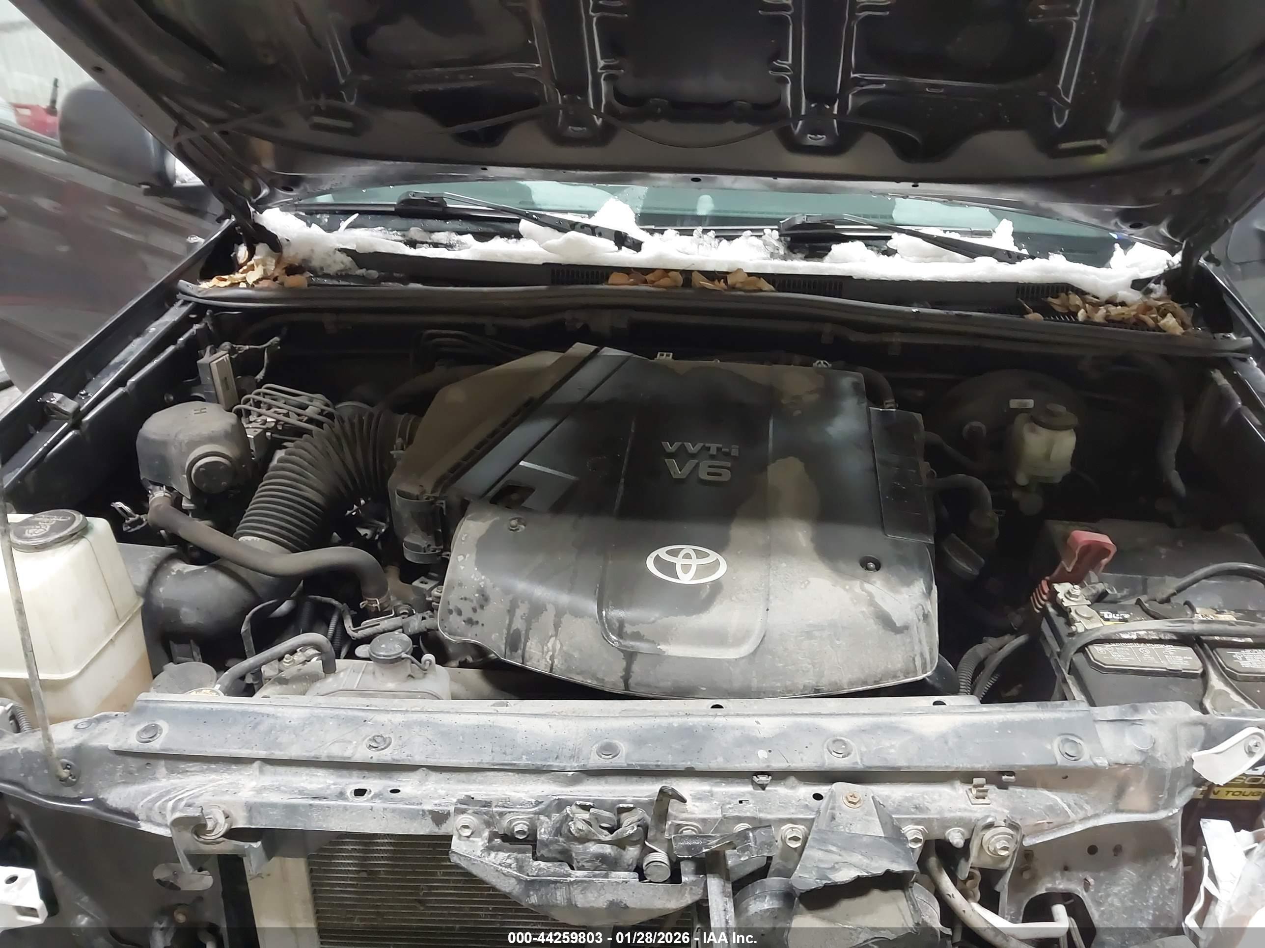 TOYOTA TACOMA image 10